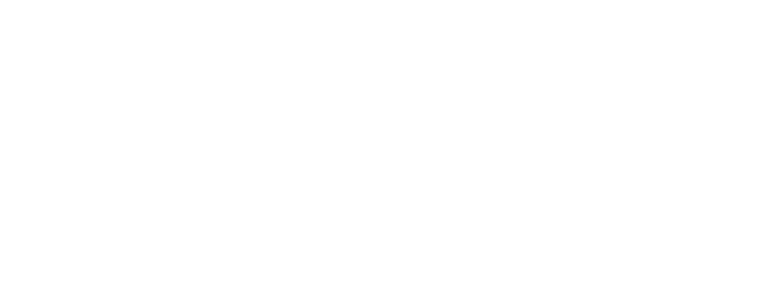 Polinic beauty equipment