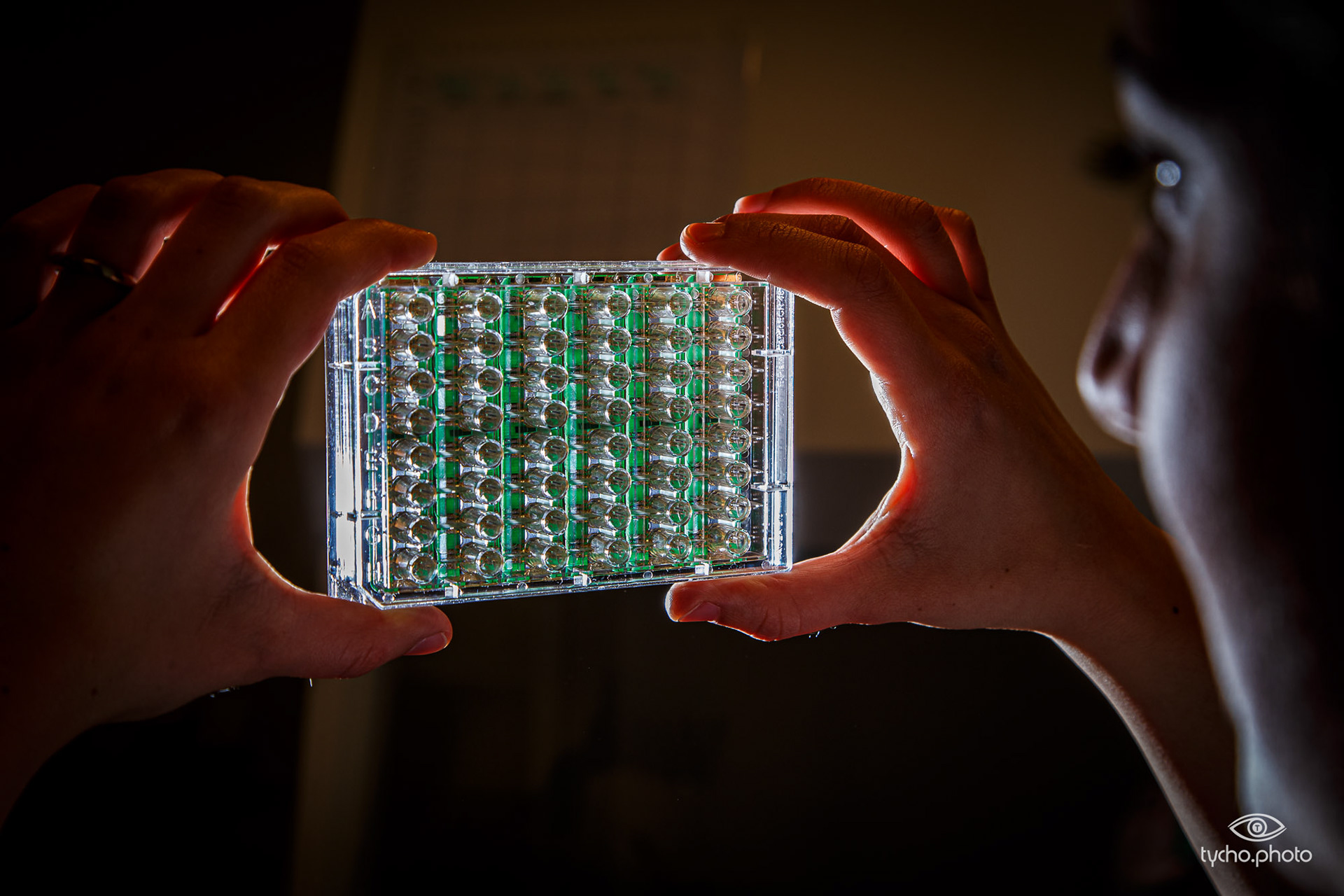 Pluriomics (hartcellen)