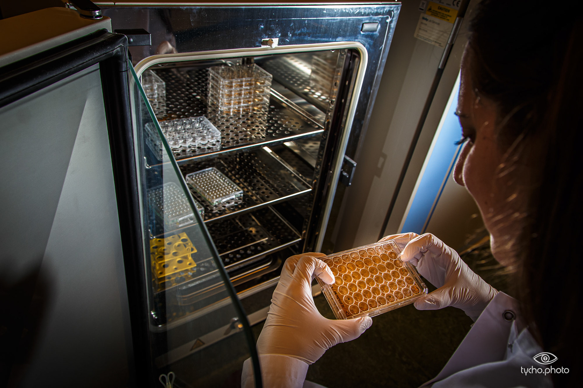 Pluriomics (hartcellen)