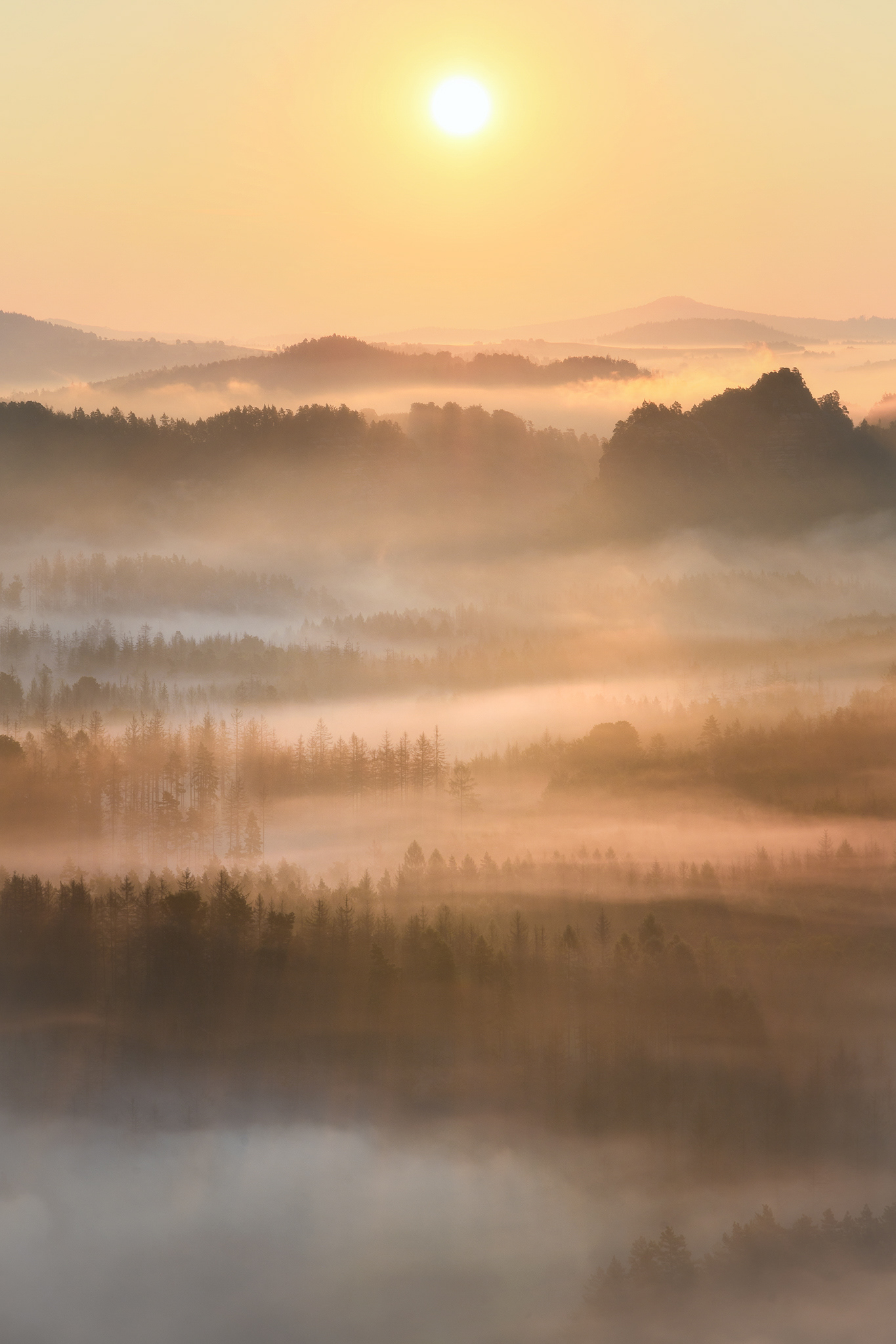 Mlhavé Saské Švýcarsko 1/3