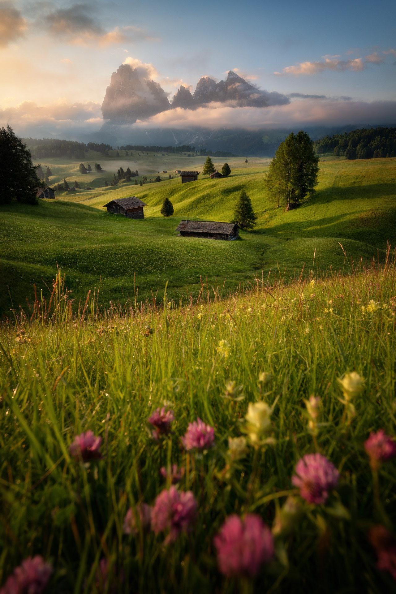 Ráno  na Alpe di Siusi, Dolomity