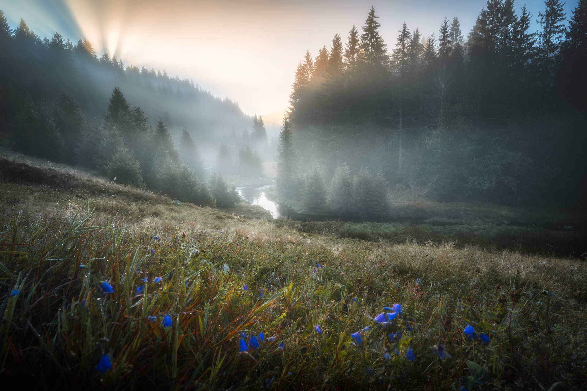 Mlhavé ráno na Šumavě, 2024