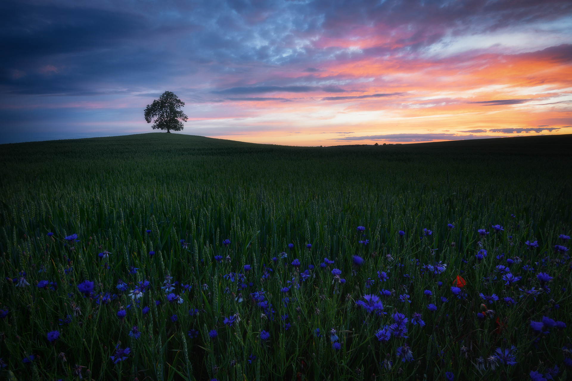 Západ slunce na Křivoklátsku
