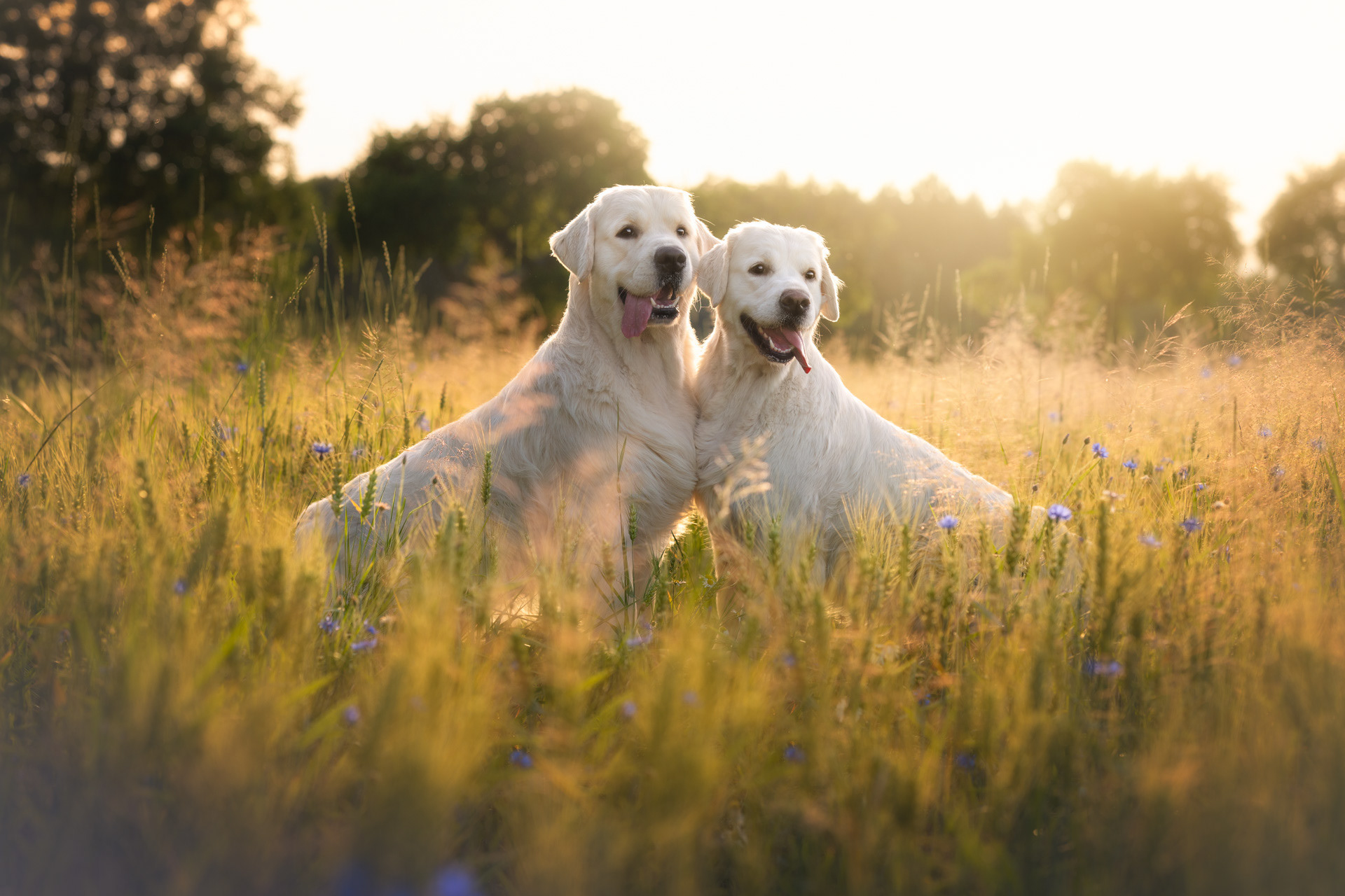 Velen a Gloria z CHS Hope of Heroes