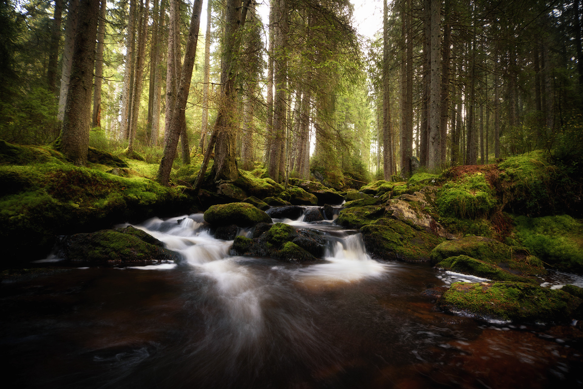 Šumavský potok, ČR