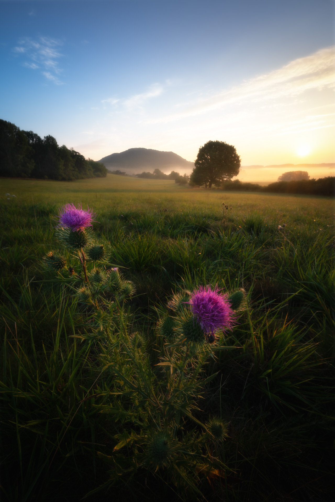 Letní východ sluncem pod Vladařem, ČR