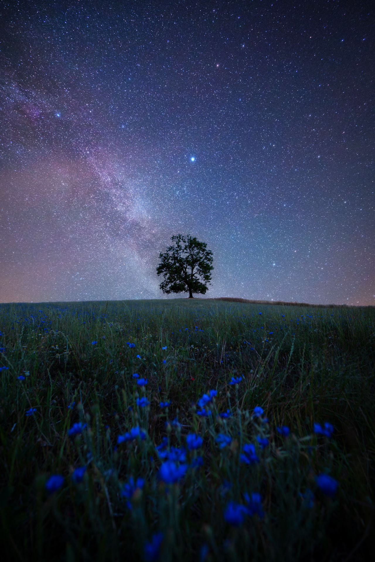 Noční obloha nad Křivoklátskem