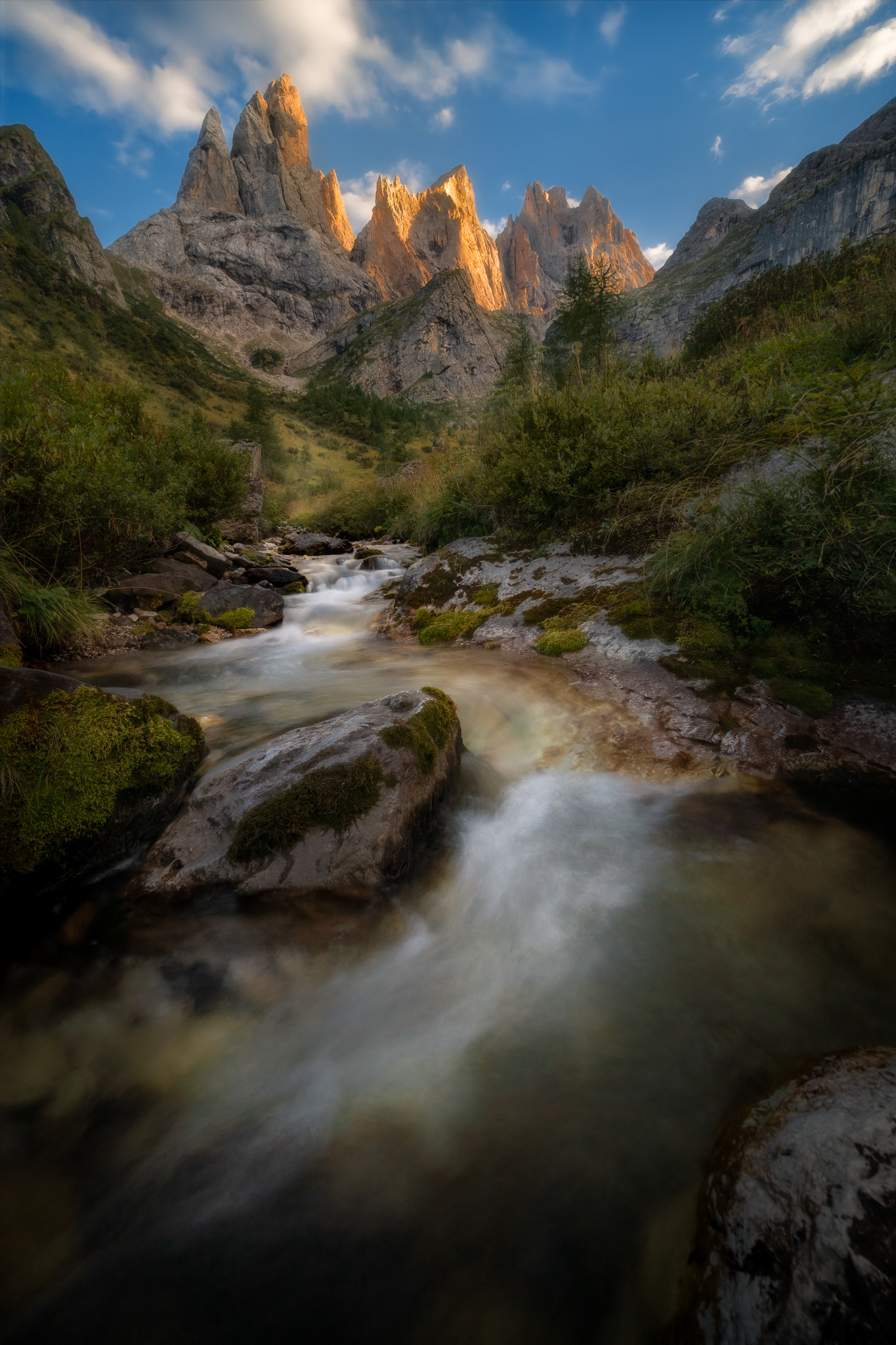 Focobon, Dolomity 25