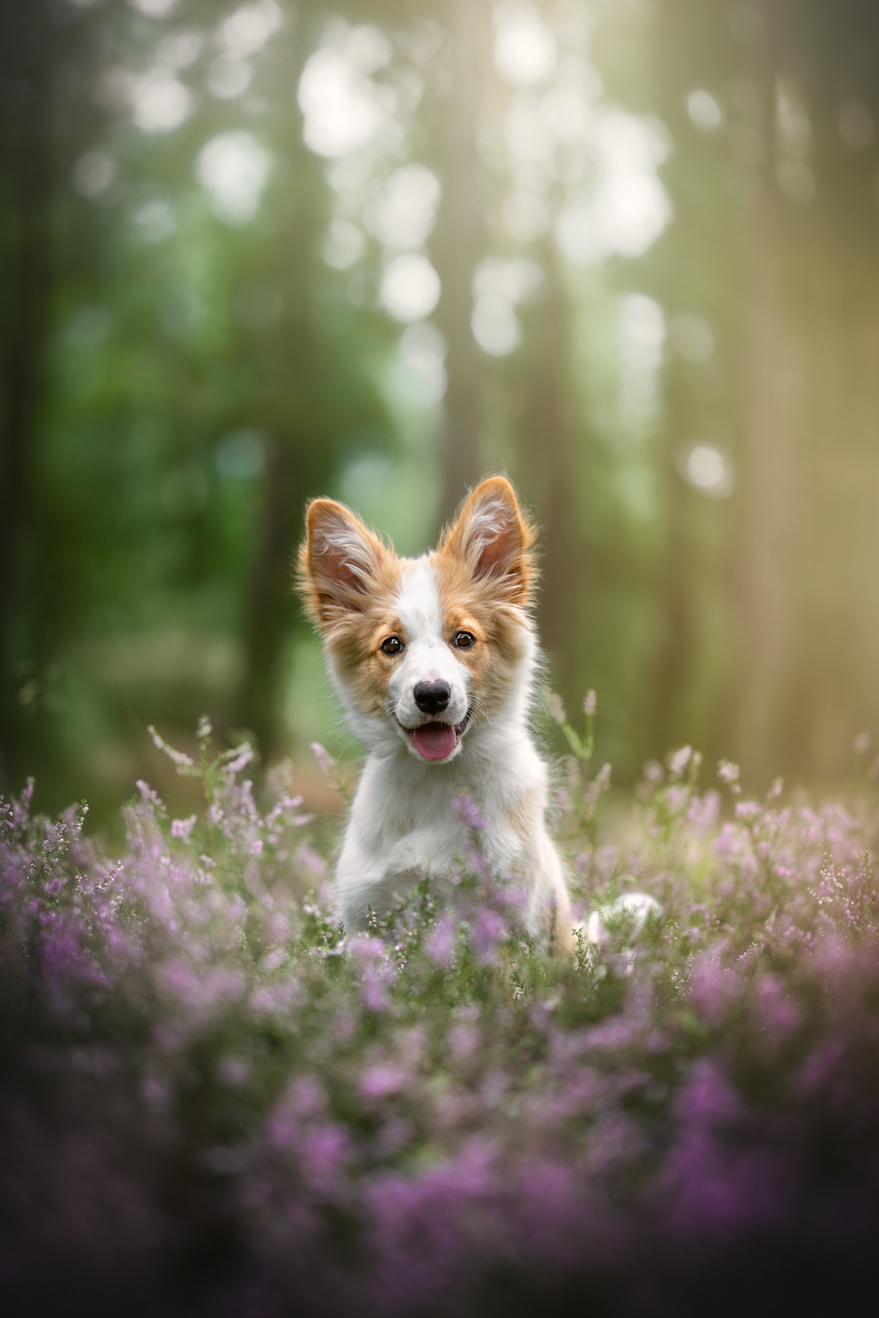 Marley
