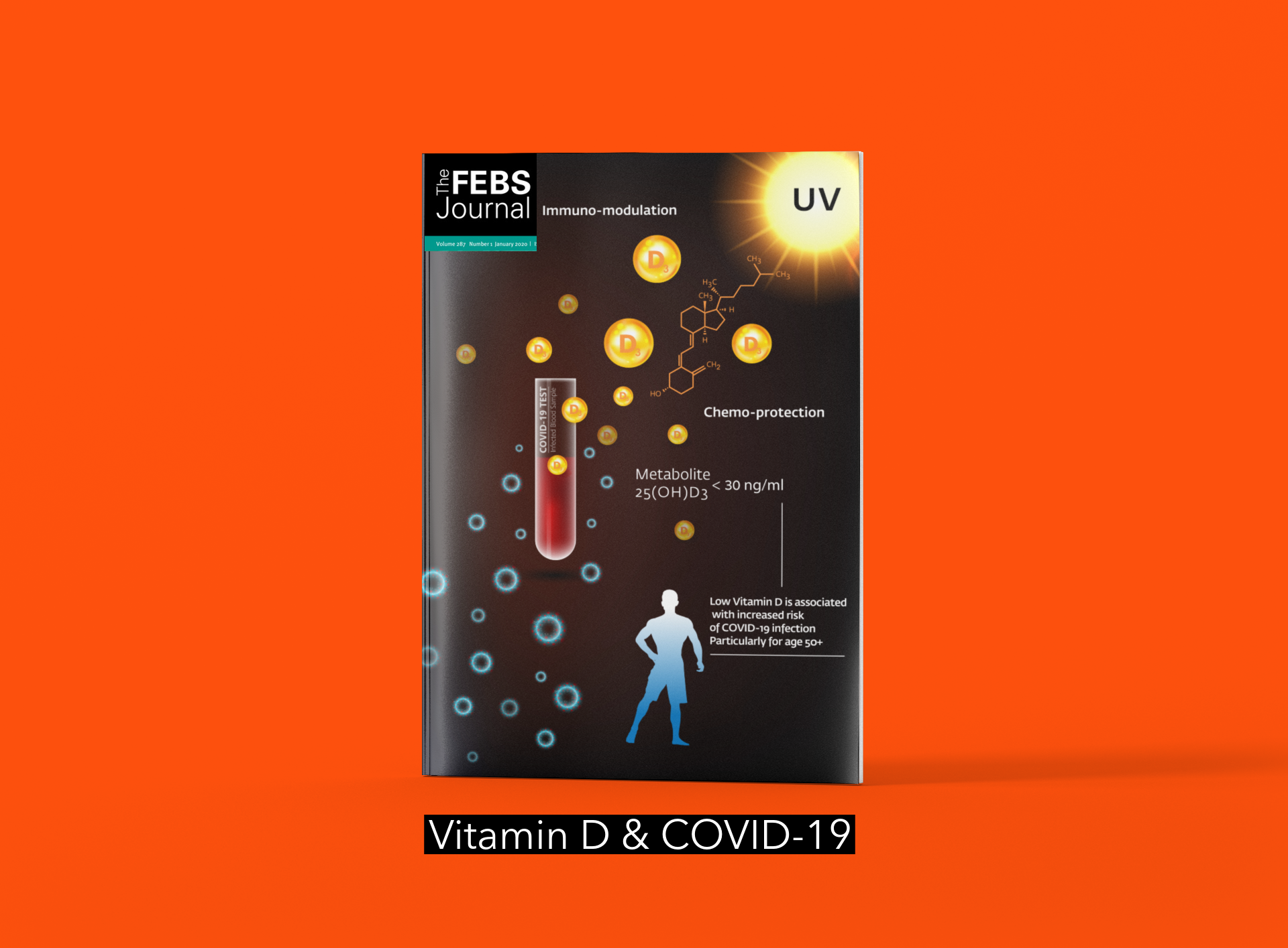 Cover for an article published at THE FEBS JOURNAL