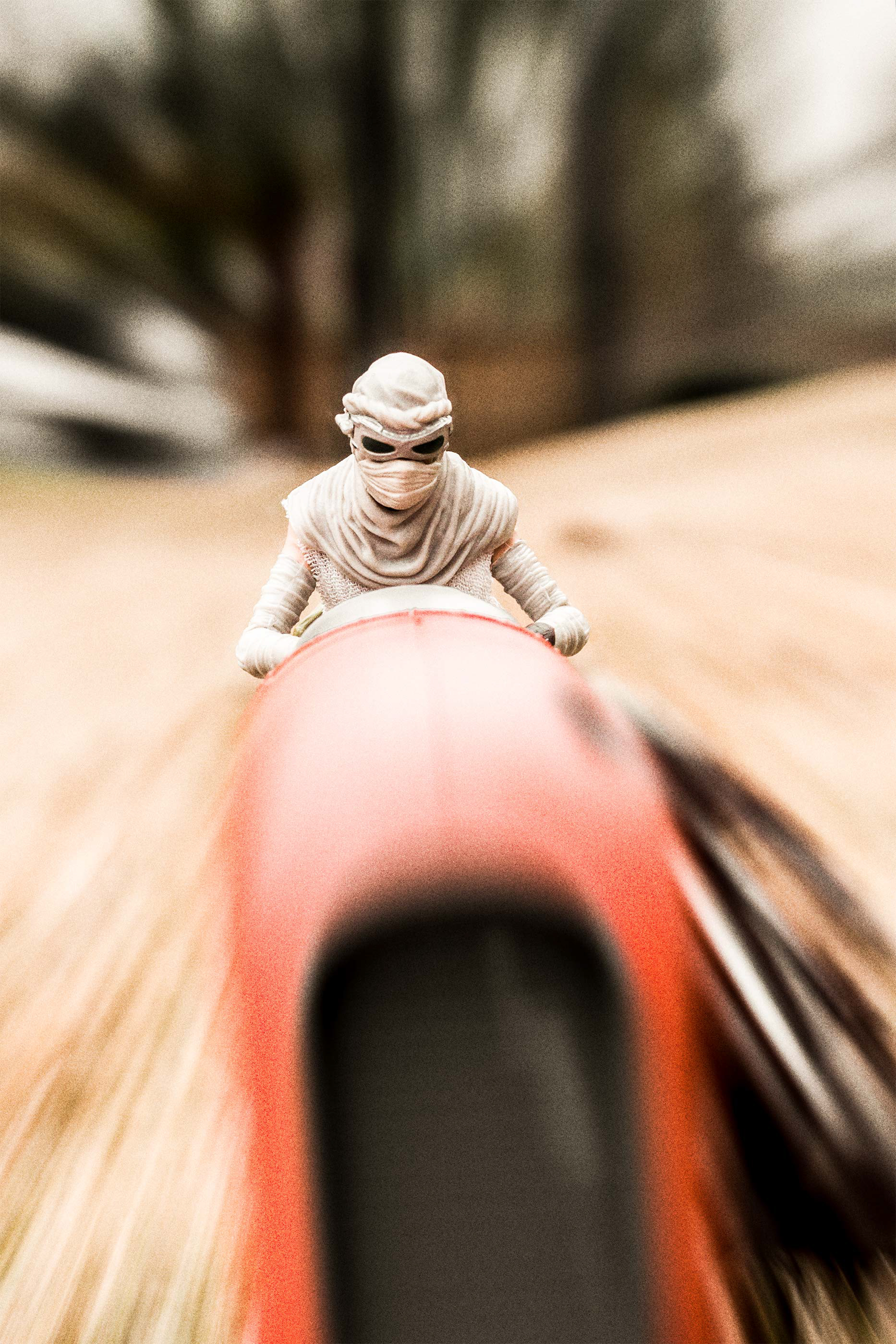 Rey / Canon 40D, 24–70mm, f/2.8L