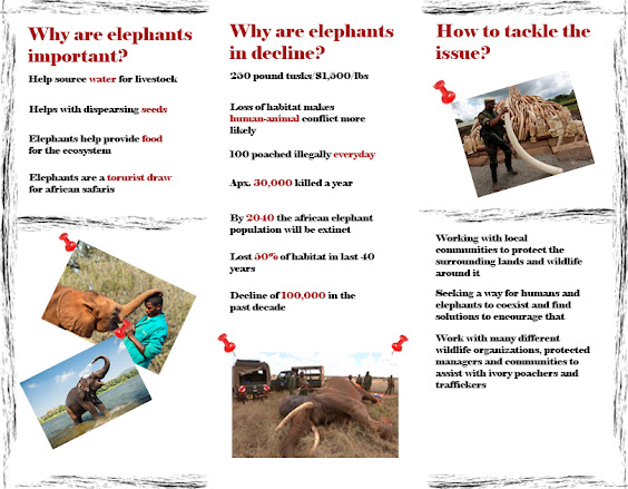 Elephant Info Brochure Page 1