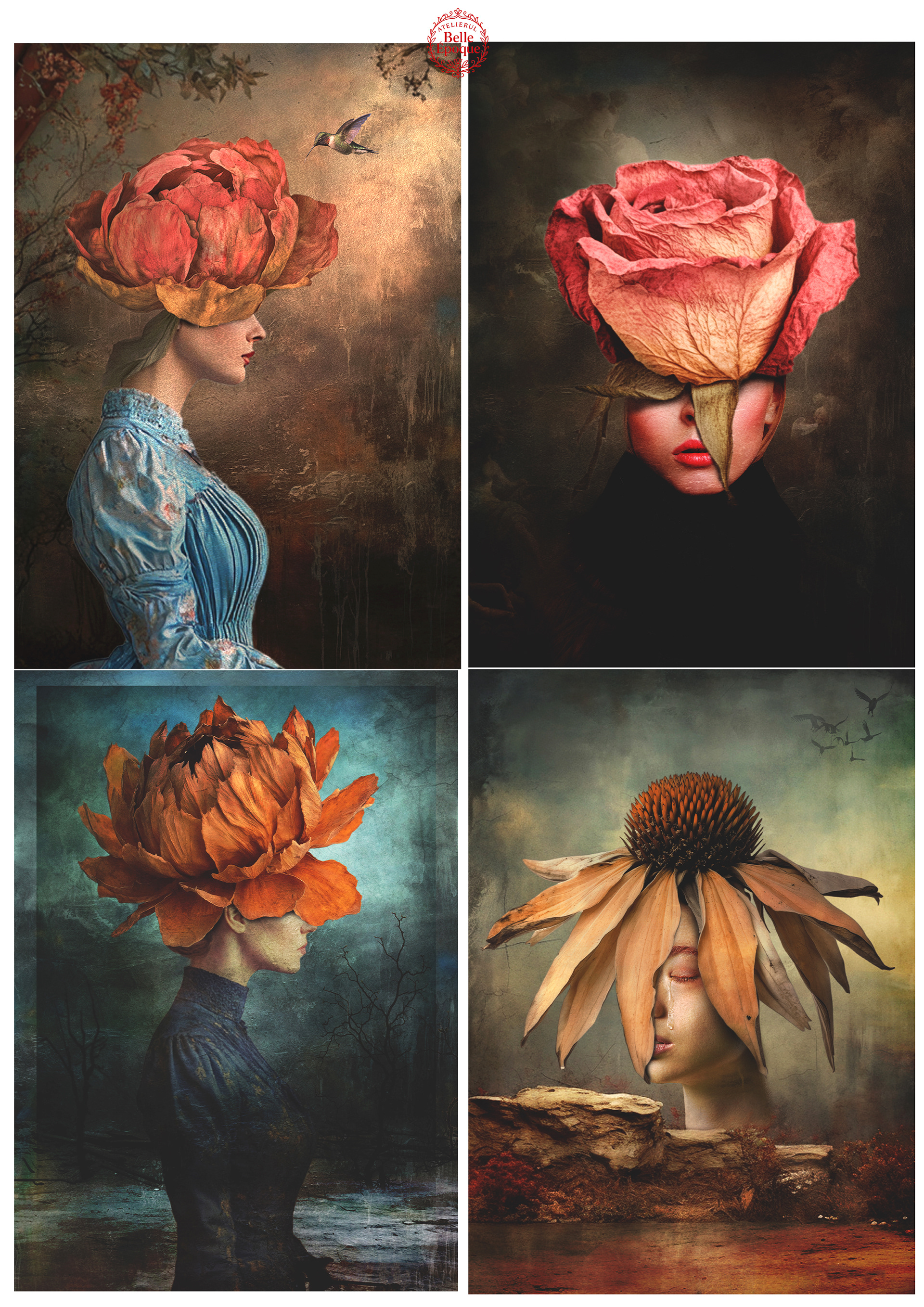Visions of Nature & Identity (B)