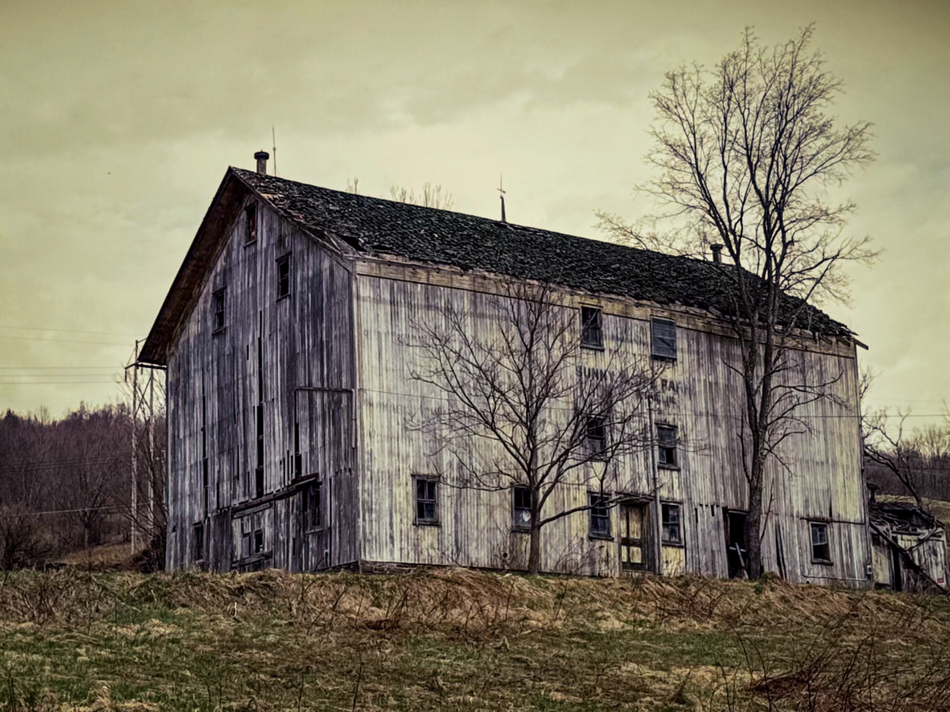 Catskills Woebegone No. 7