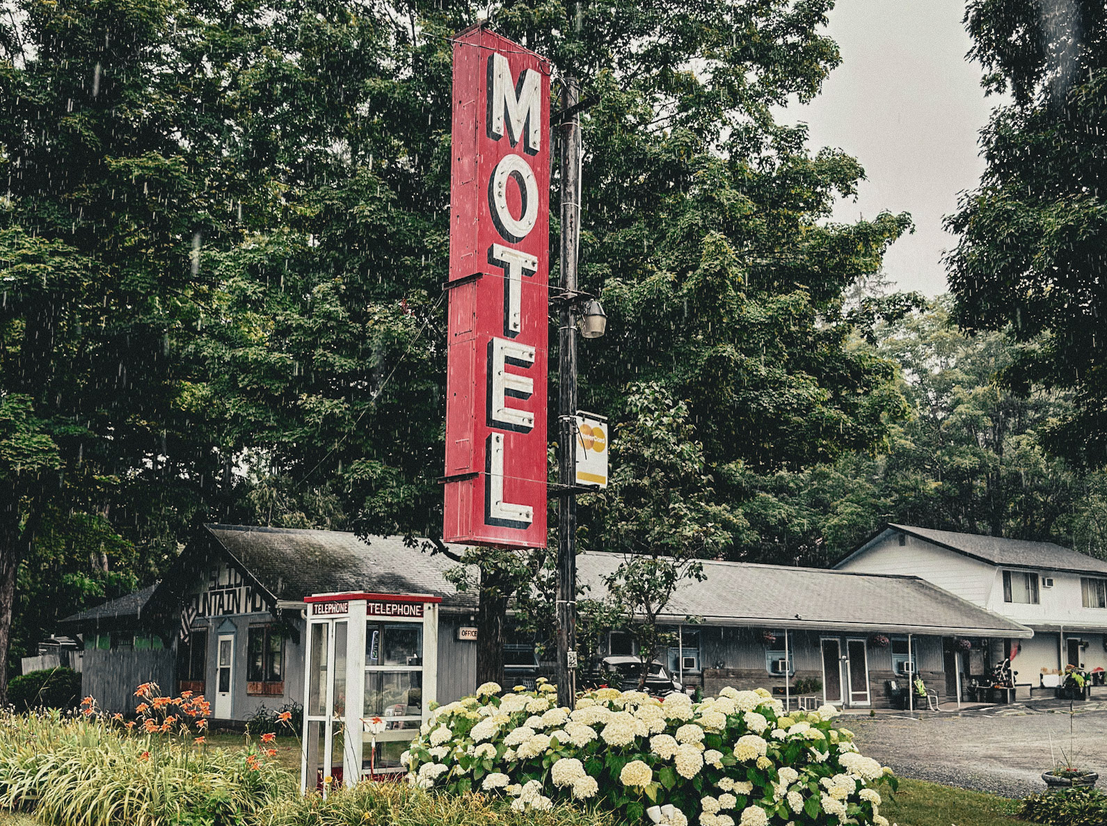 Catskills Woebegone No. 111