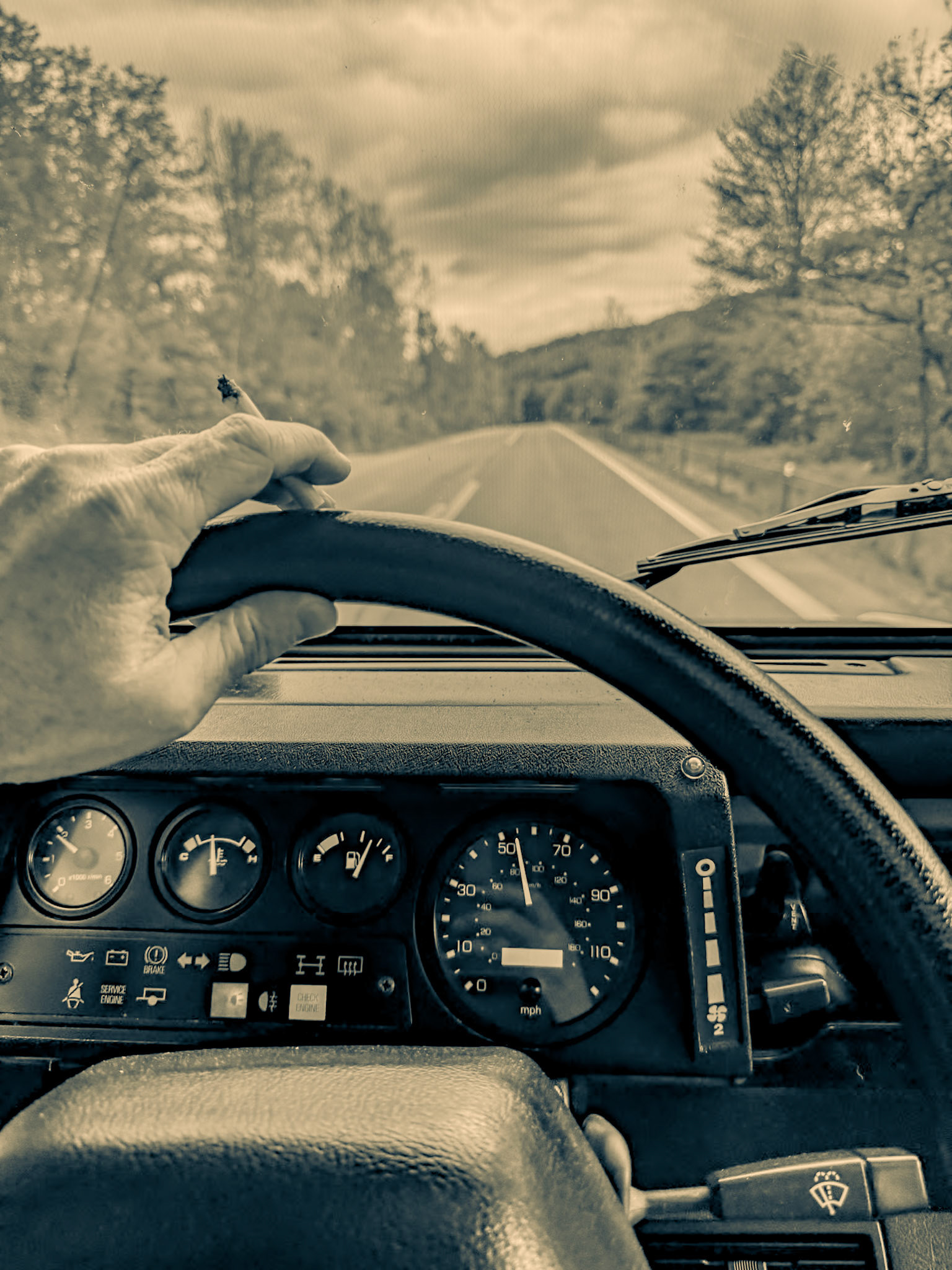 Catskills Woebegone No. 90