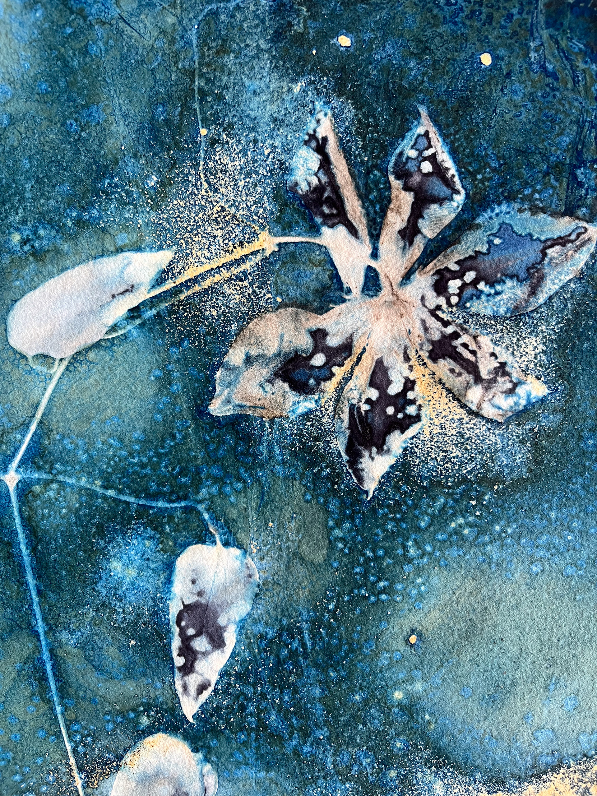 Garden Party Cyanotype