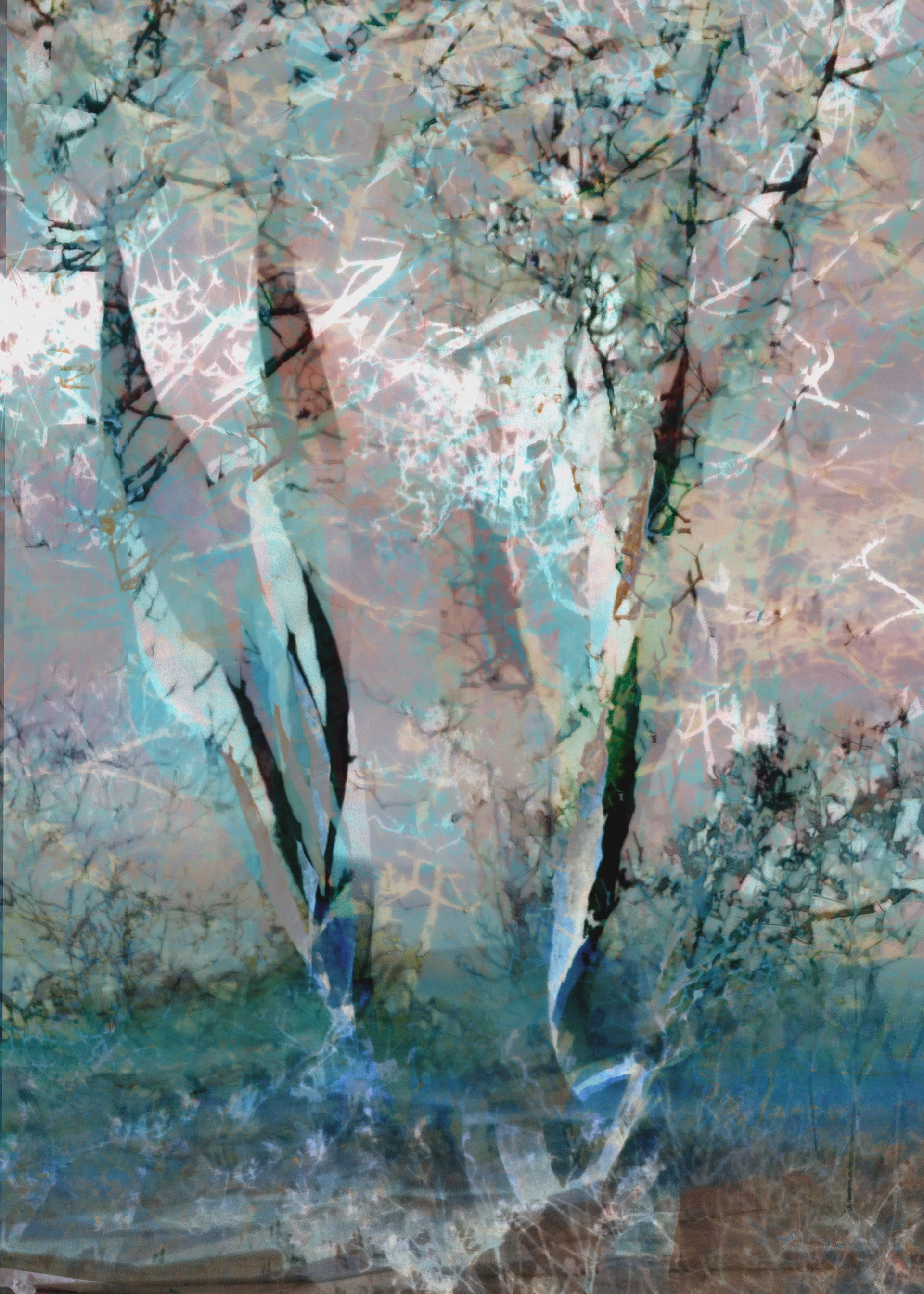 Winter Trees Mult Exp