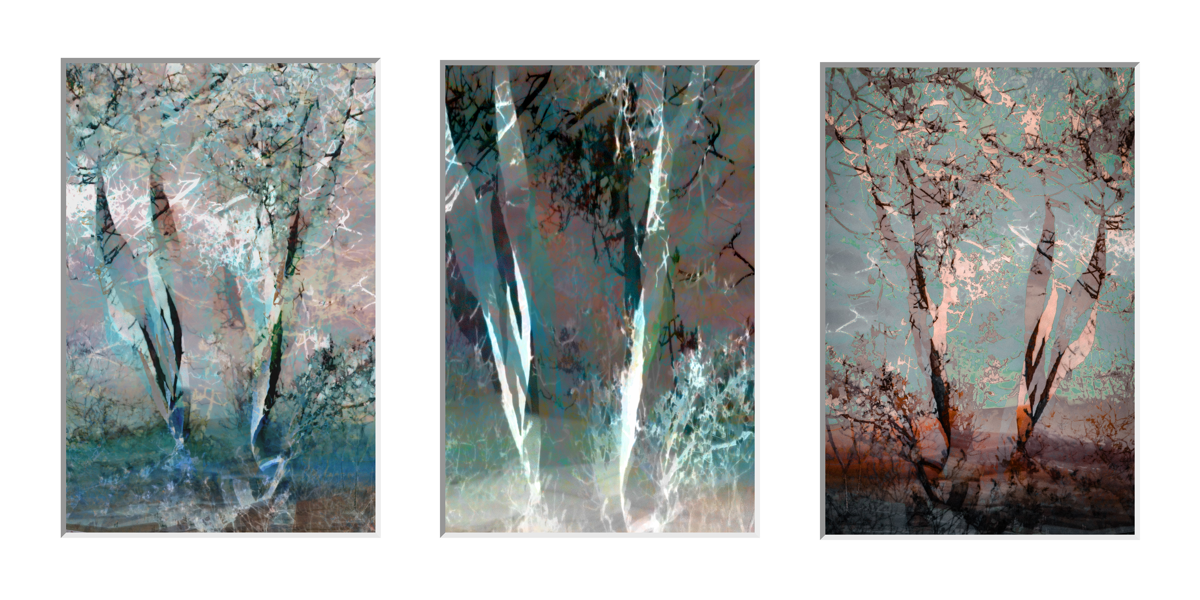 Trees Triptych (ratio is 3:1)