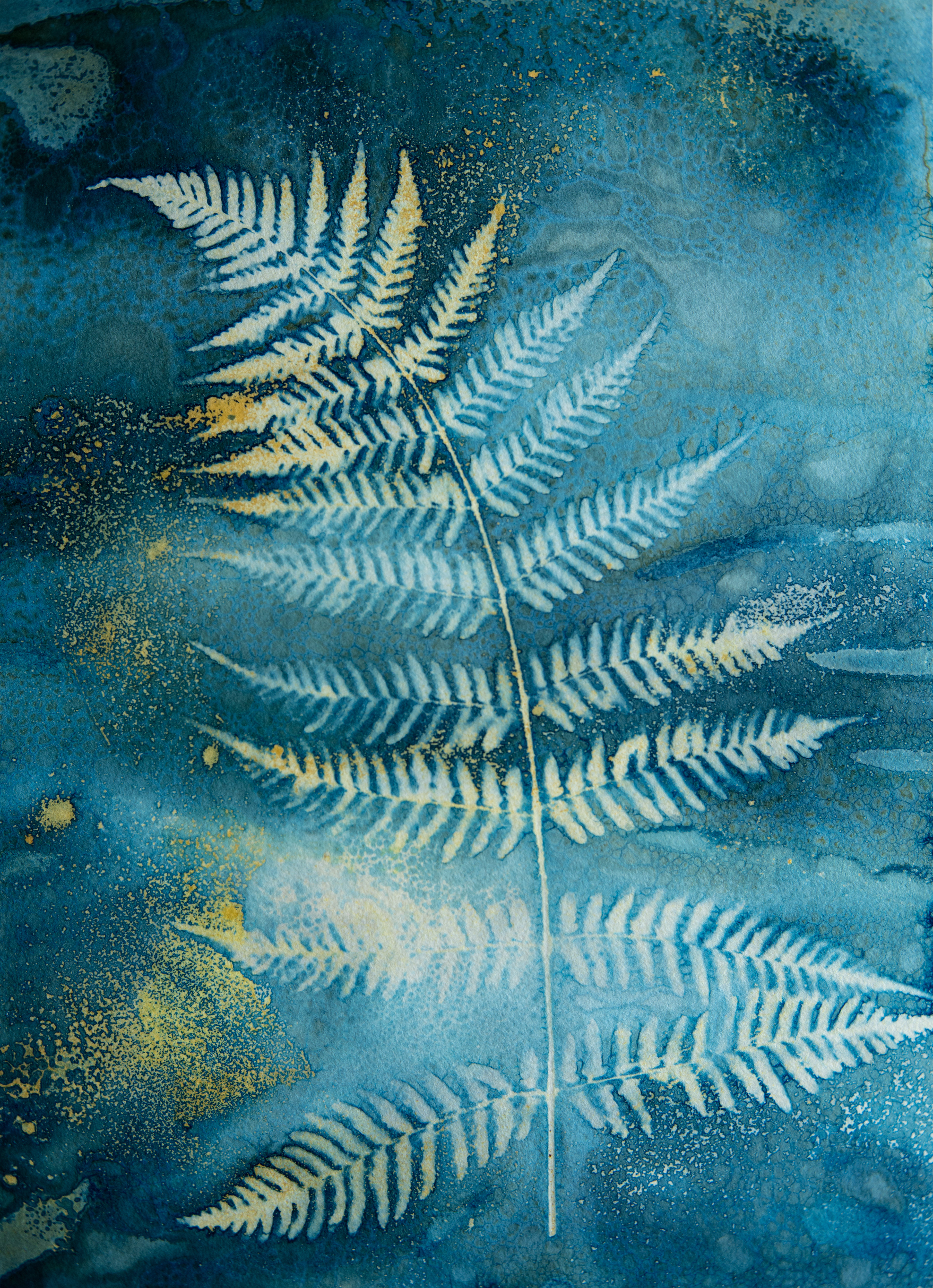 Fern 2 Cyanotype