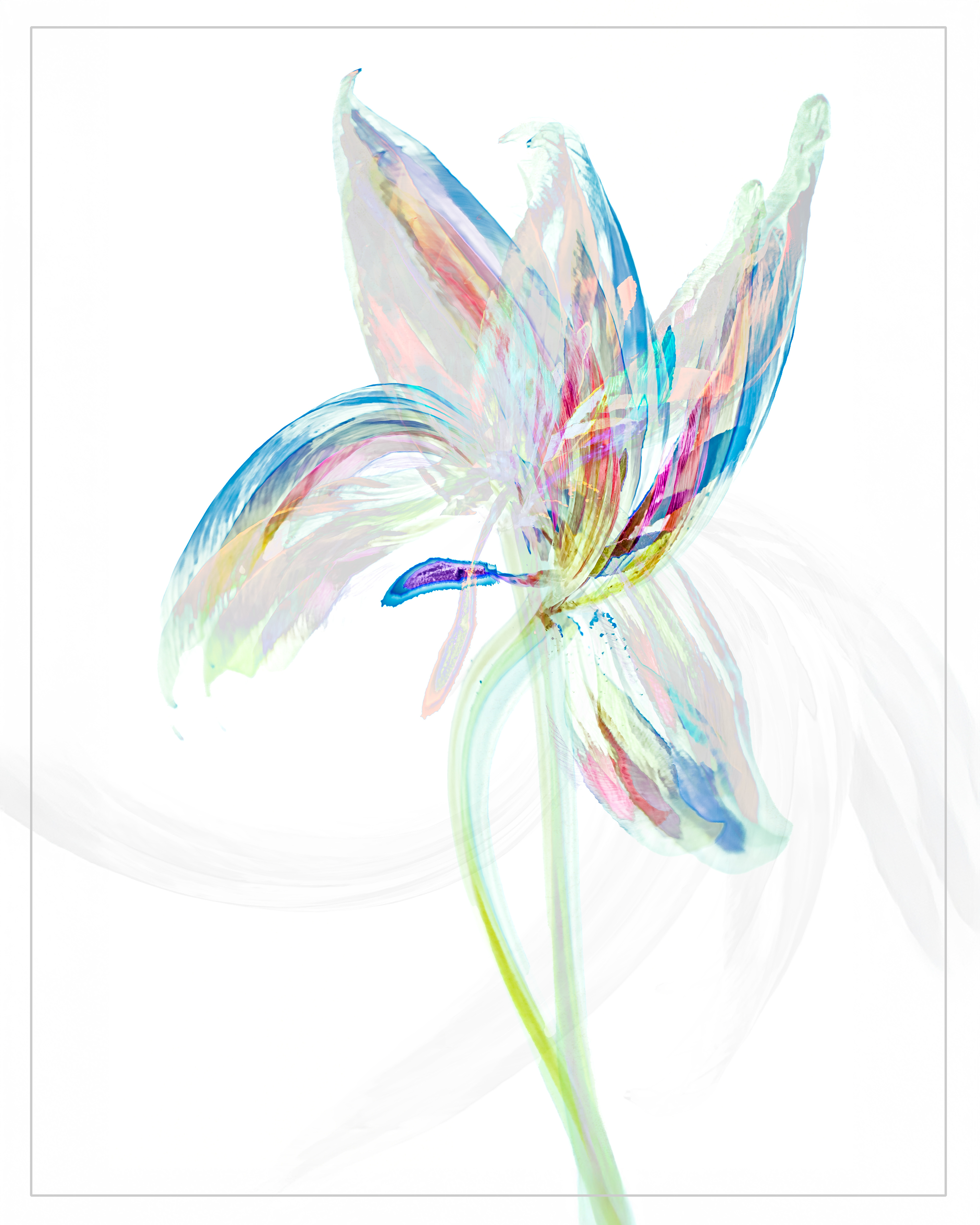 Prism in Bloom Mult Exp