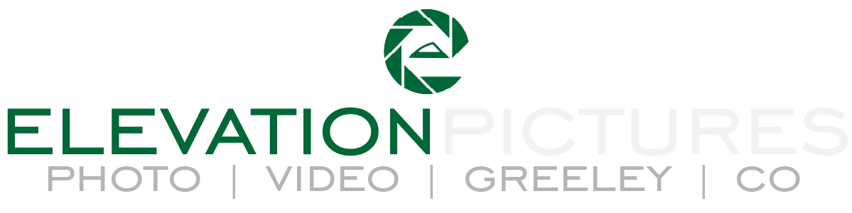 Elevation Pictures Logo and Home Link