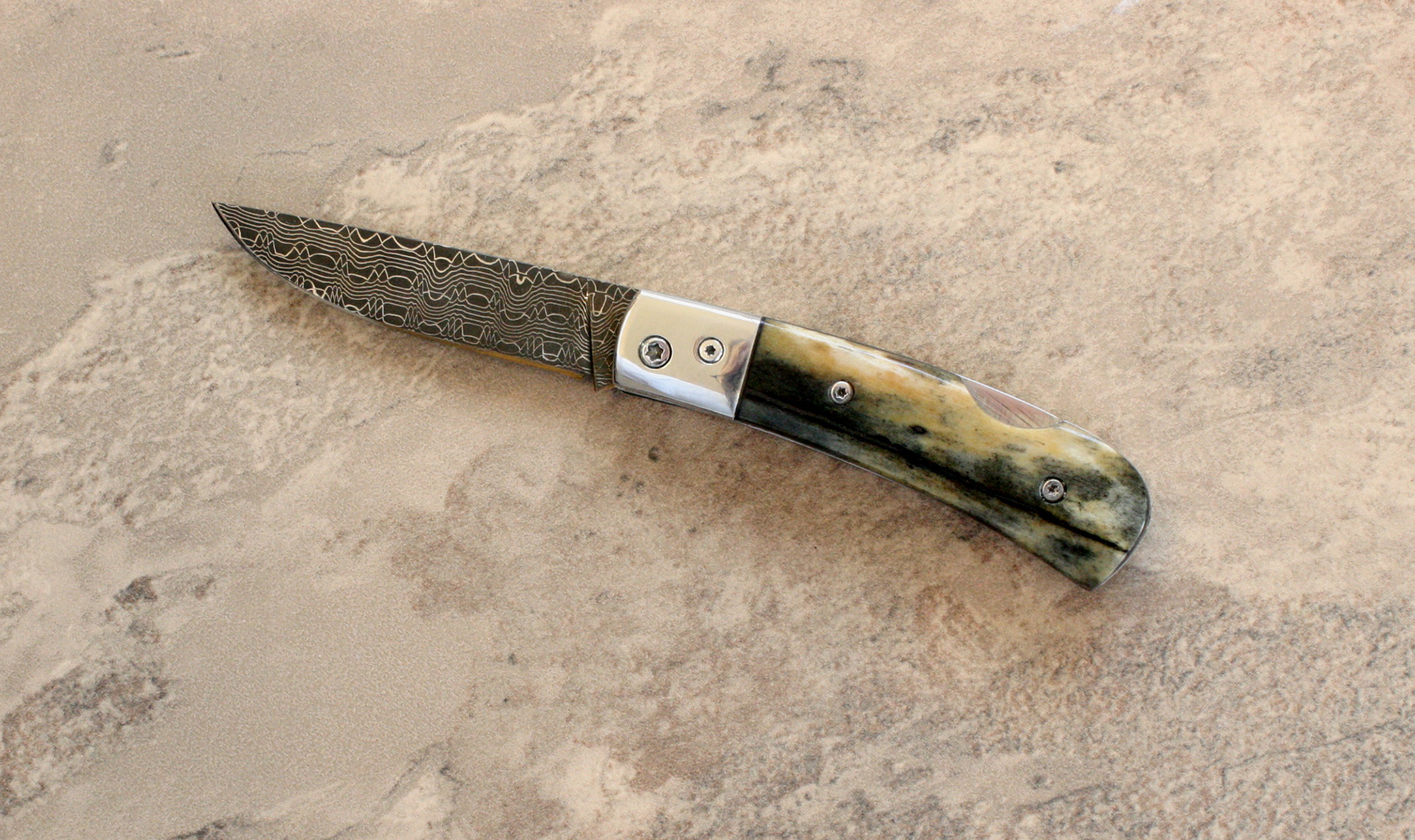 Zebra Ochre