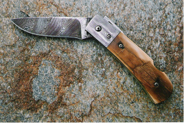 Med Mammoth Folder