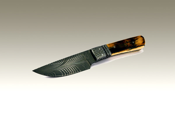 Mastadon Feather