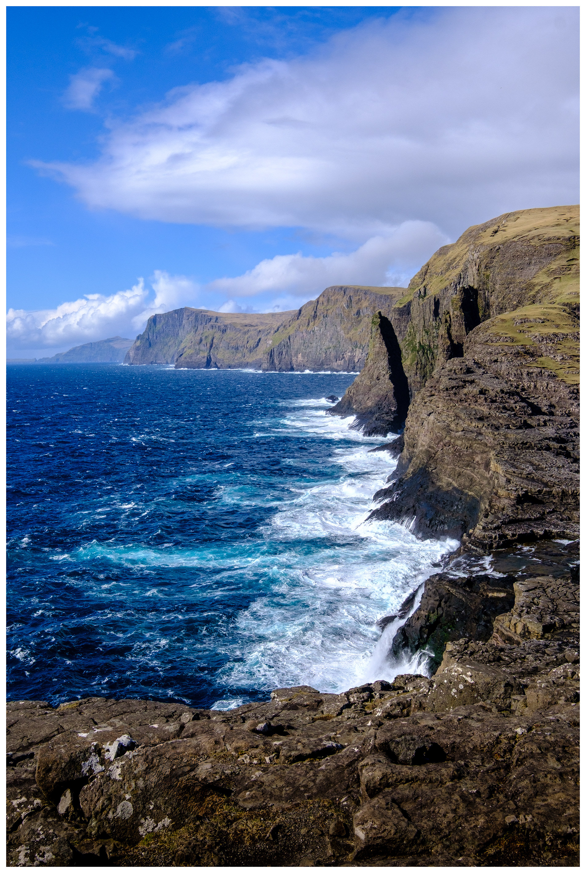 Trælanípa