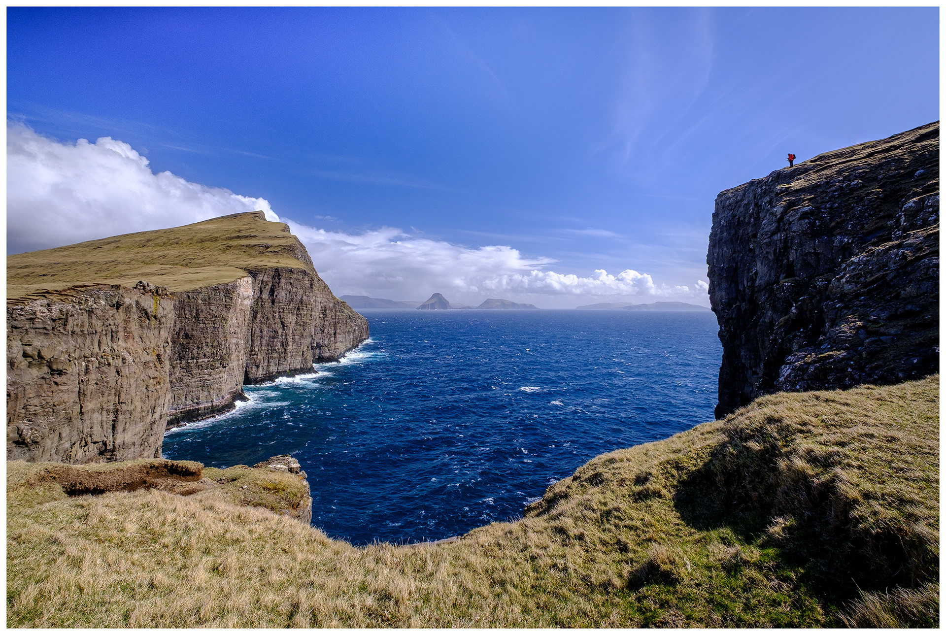 Trælanípa