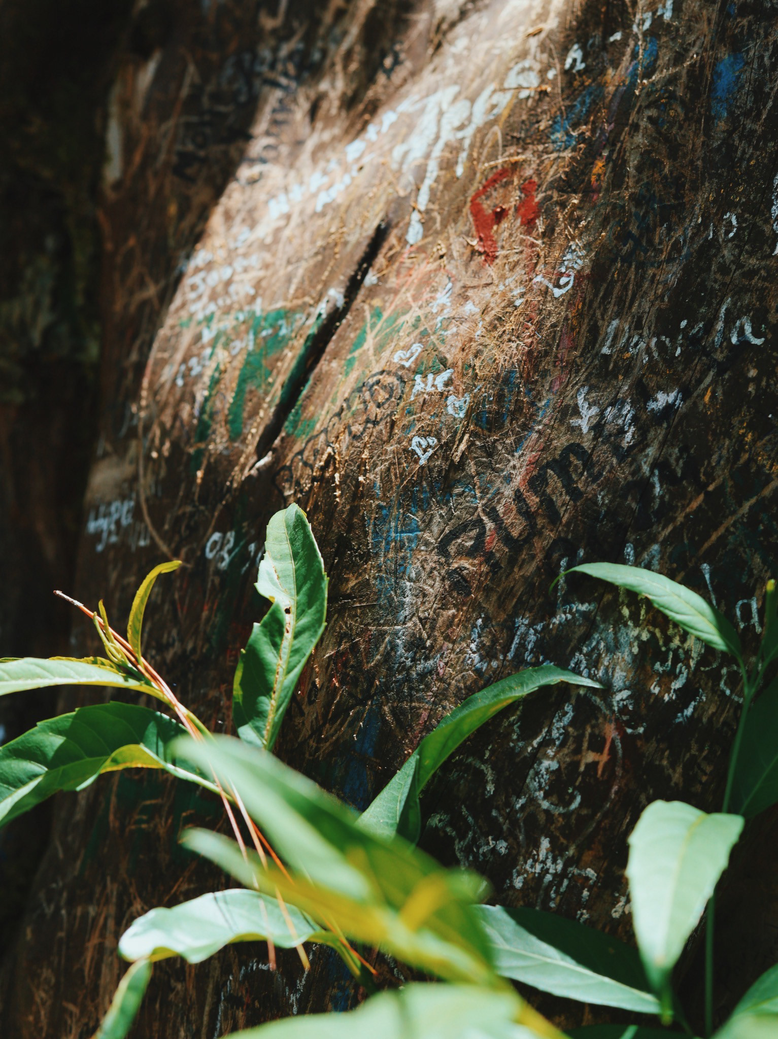 San Salvador, El Salvador - 2024