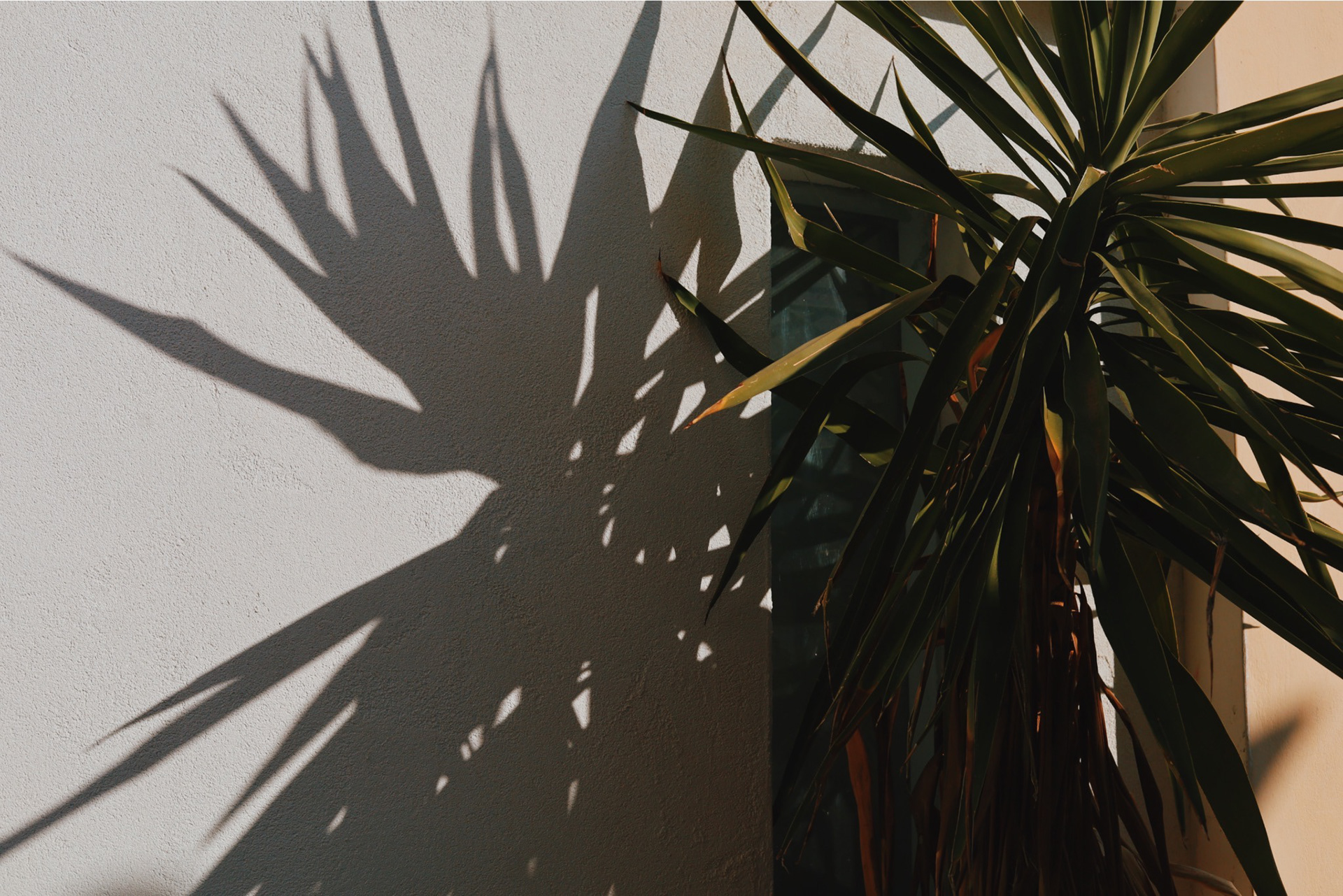 Aegina, Greece - 2024