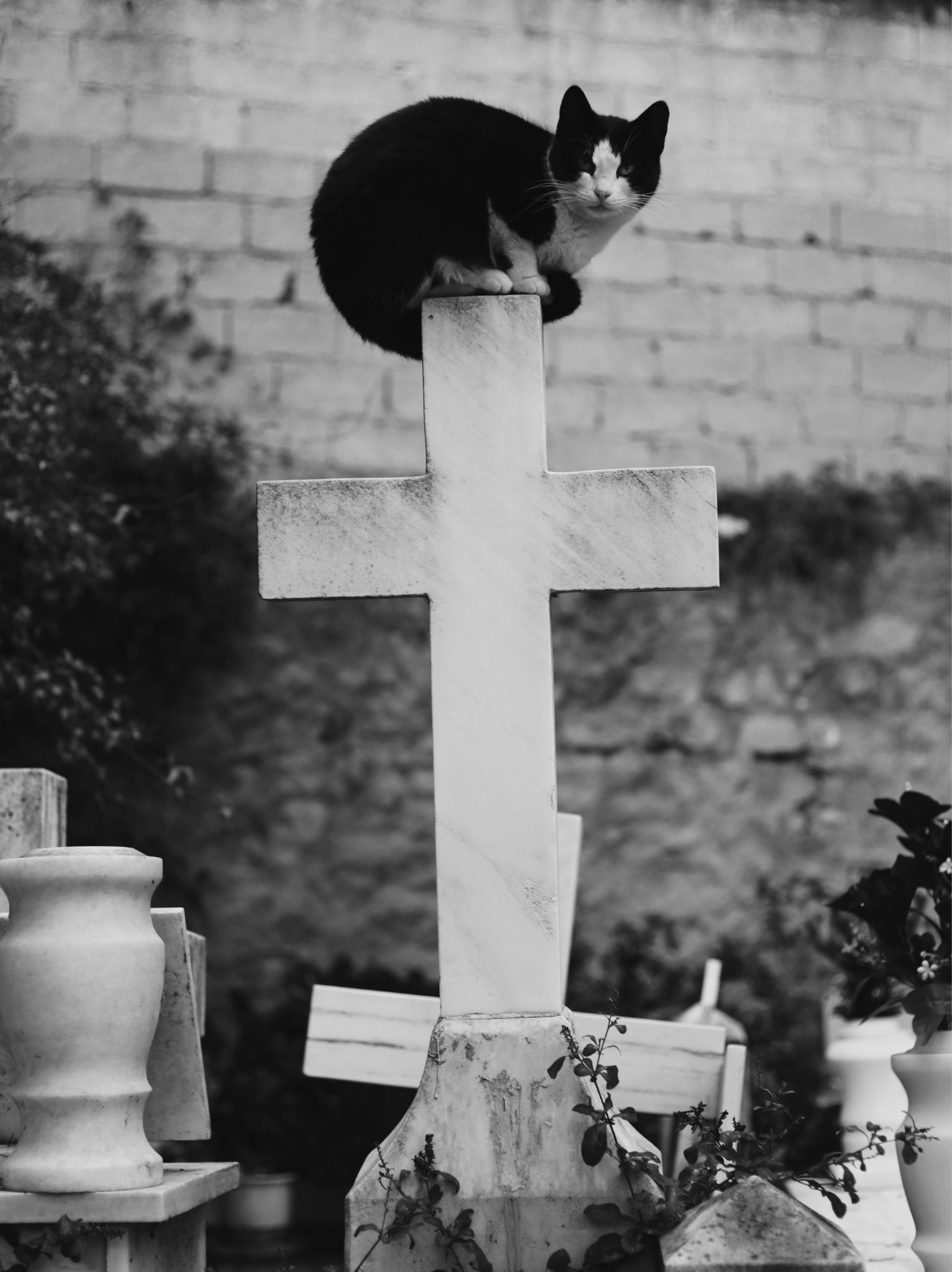 Athens, Greece - 2024