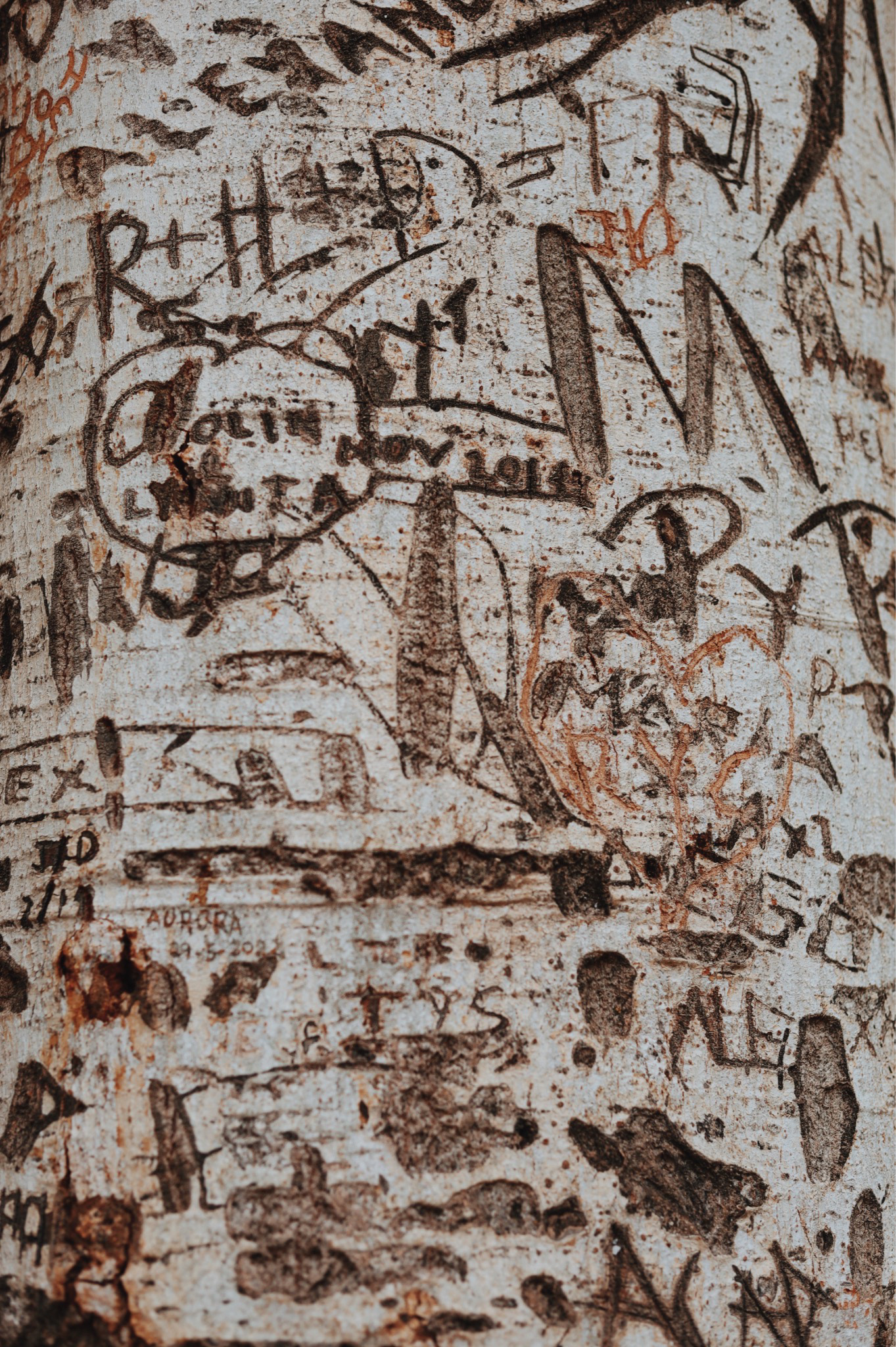 Toledo, Spain - 2022