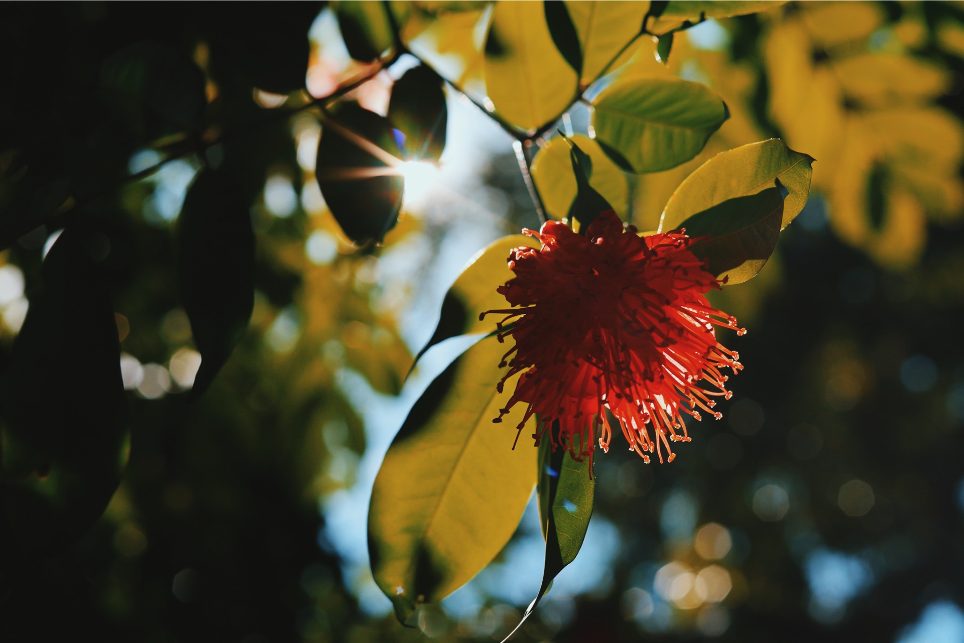 San Salvador, El Salvador - 2024