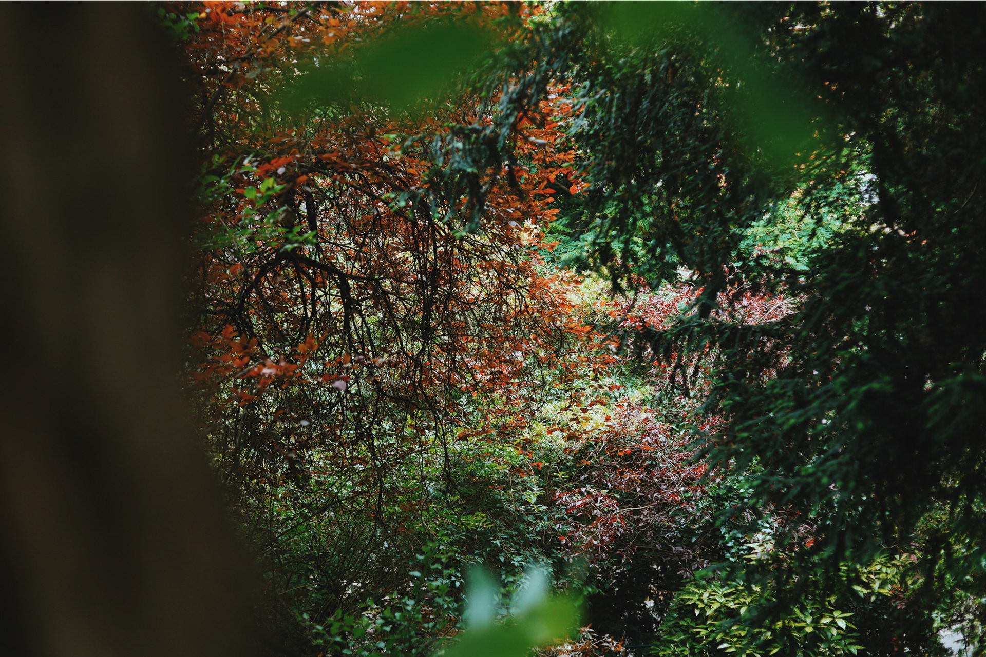 Paris, France - 2024