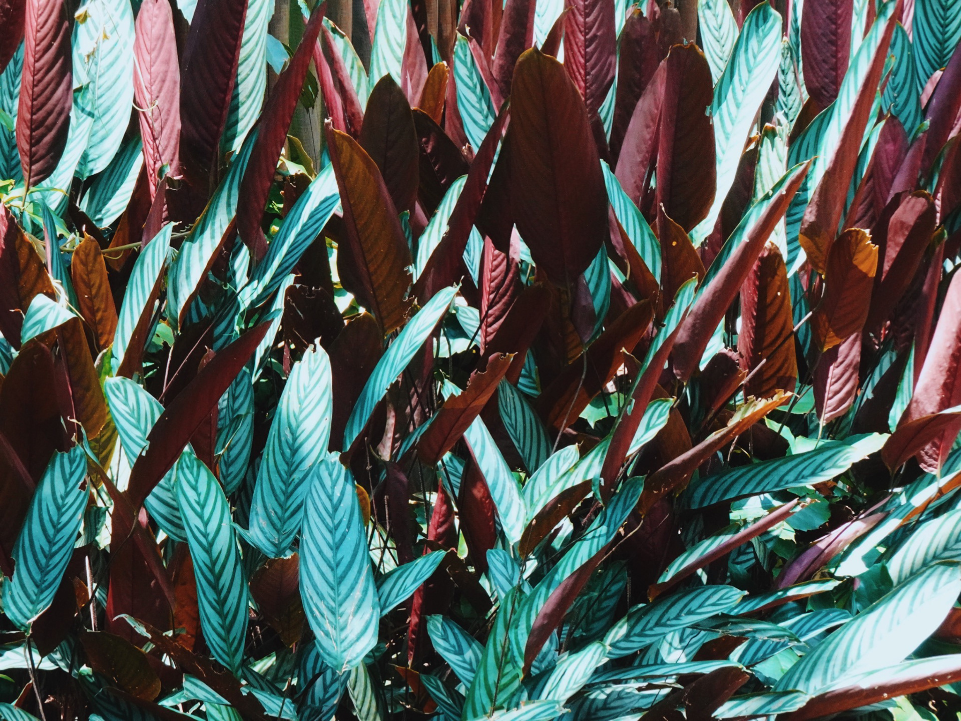 Medellin, Colombia - 2023