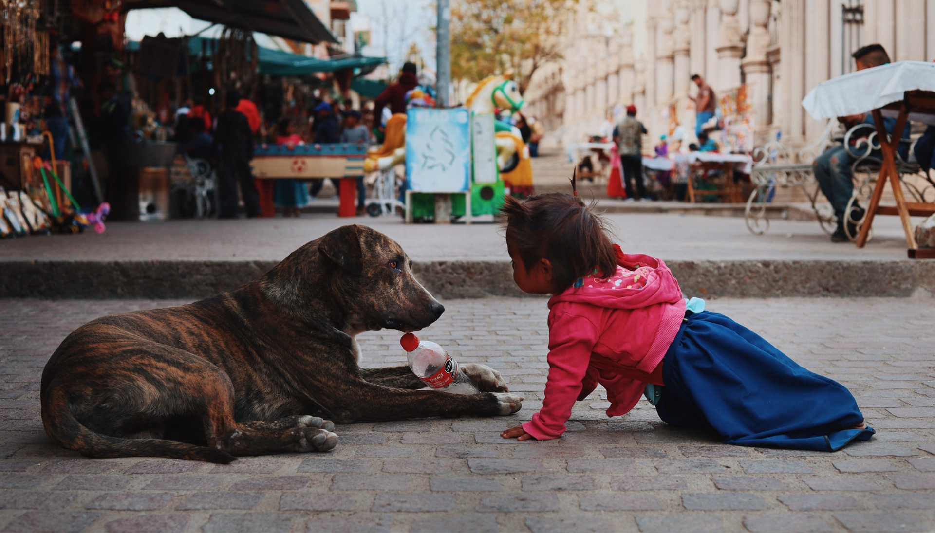 Fresnillo, Mexico - 2022