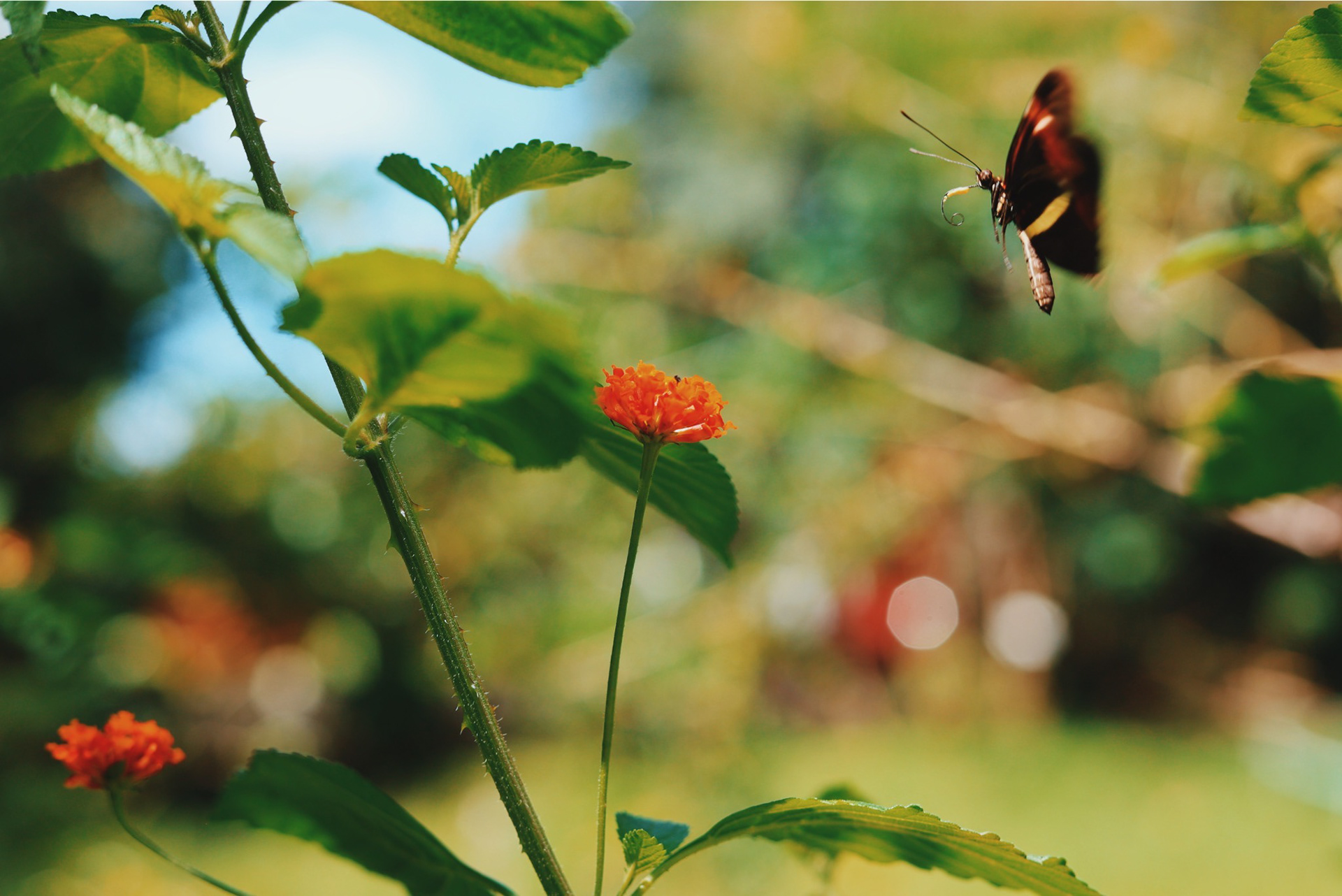 San Salvador, El Salvador - 2024