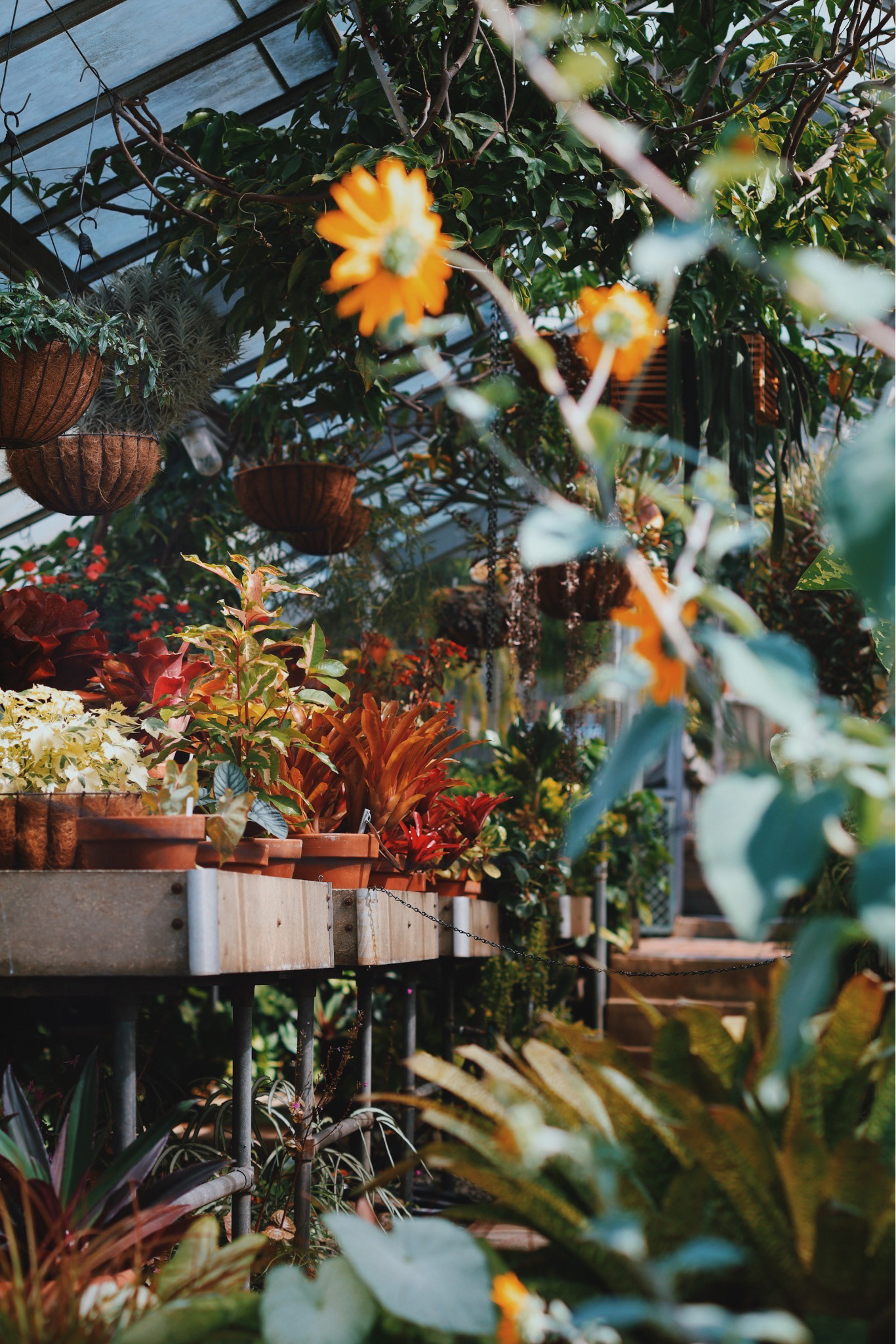 Wave Hill, New York - 2022