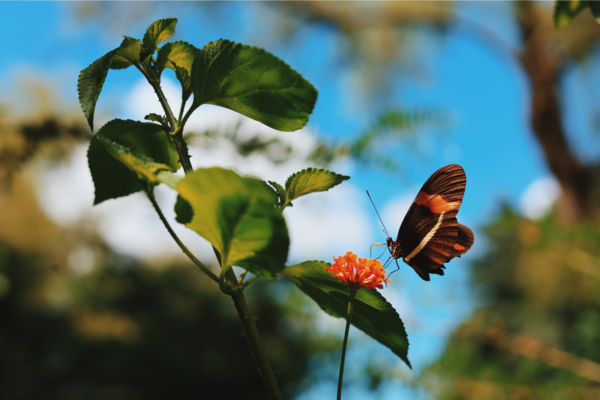 San Salvador, El Salvador - 2024