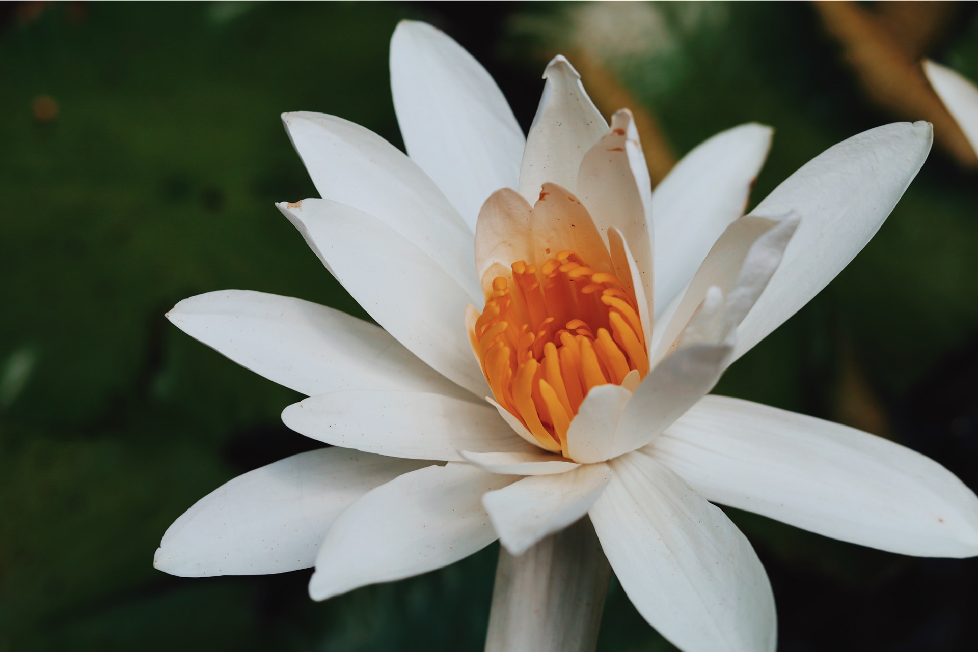 San Salvador, El Salvador - 2024