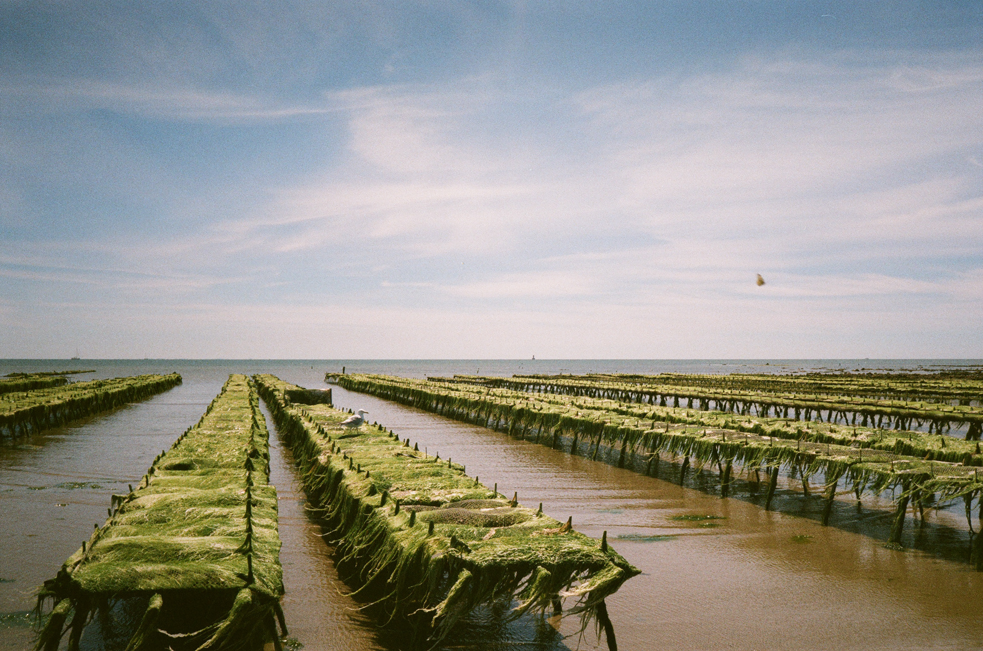 Île De Ré