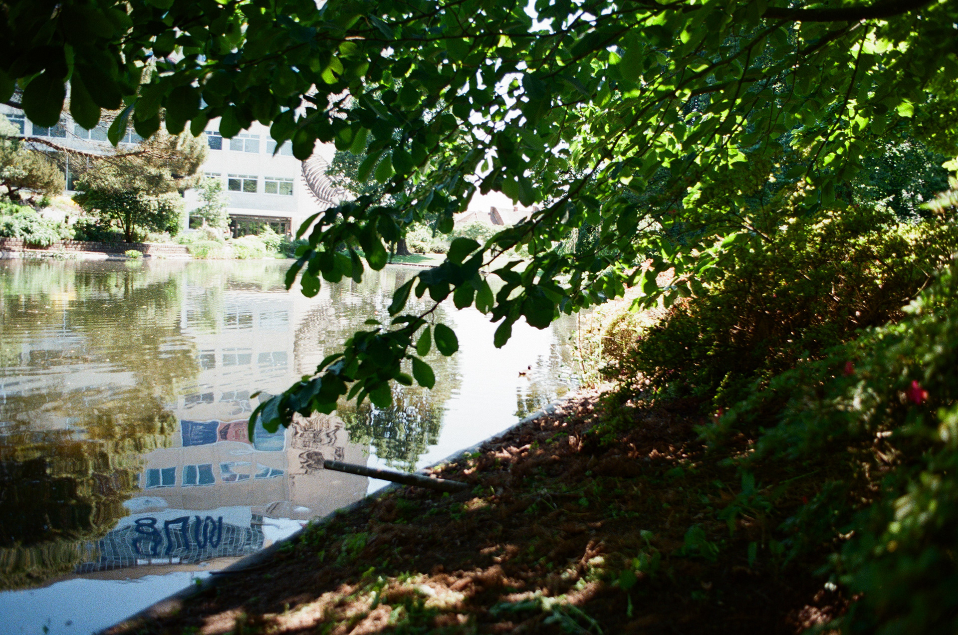 Ghent Plant Garden