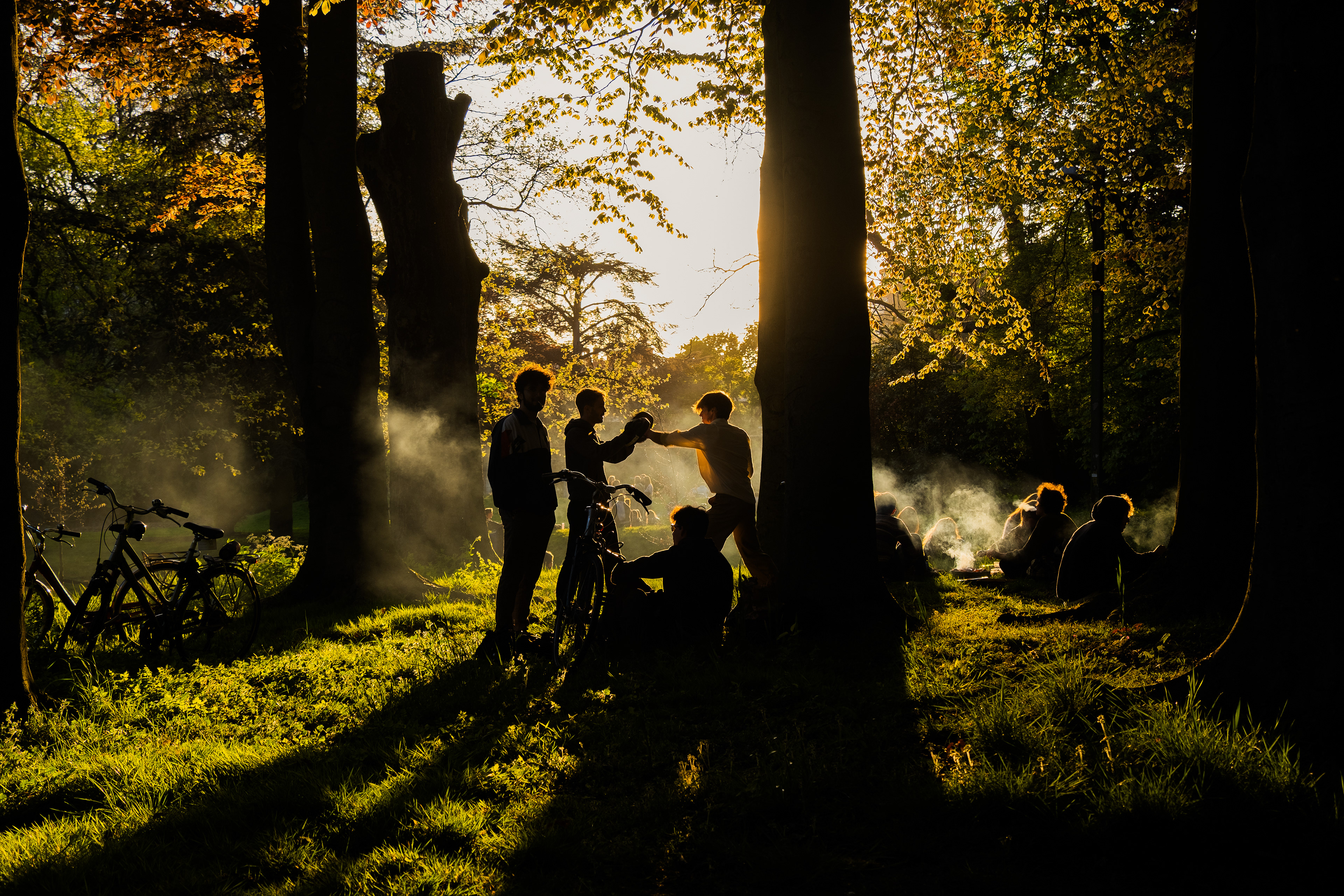 Citadel Park Gathering