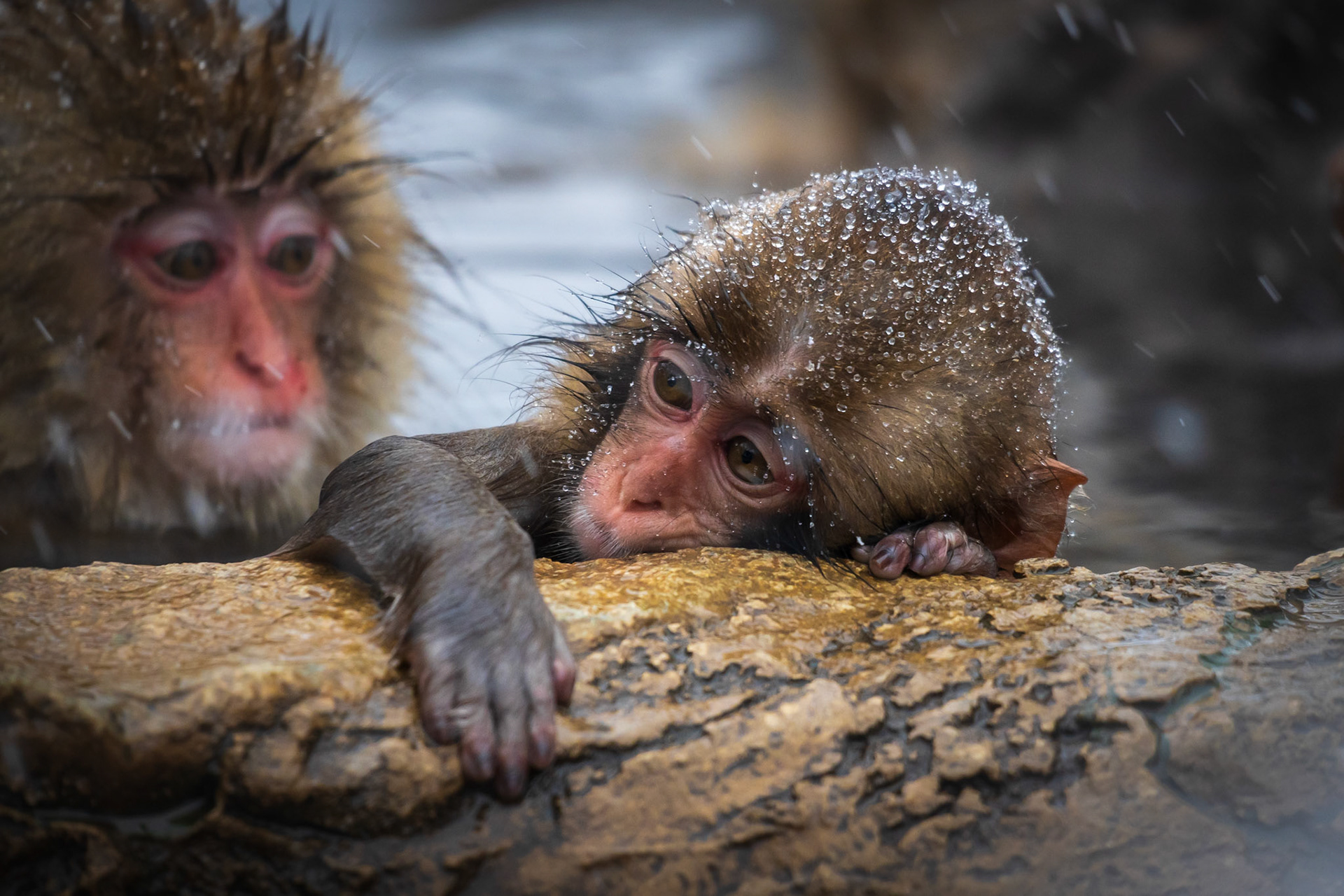 Boredom in The Hot Spring
