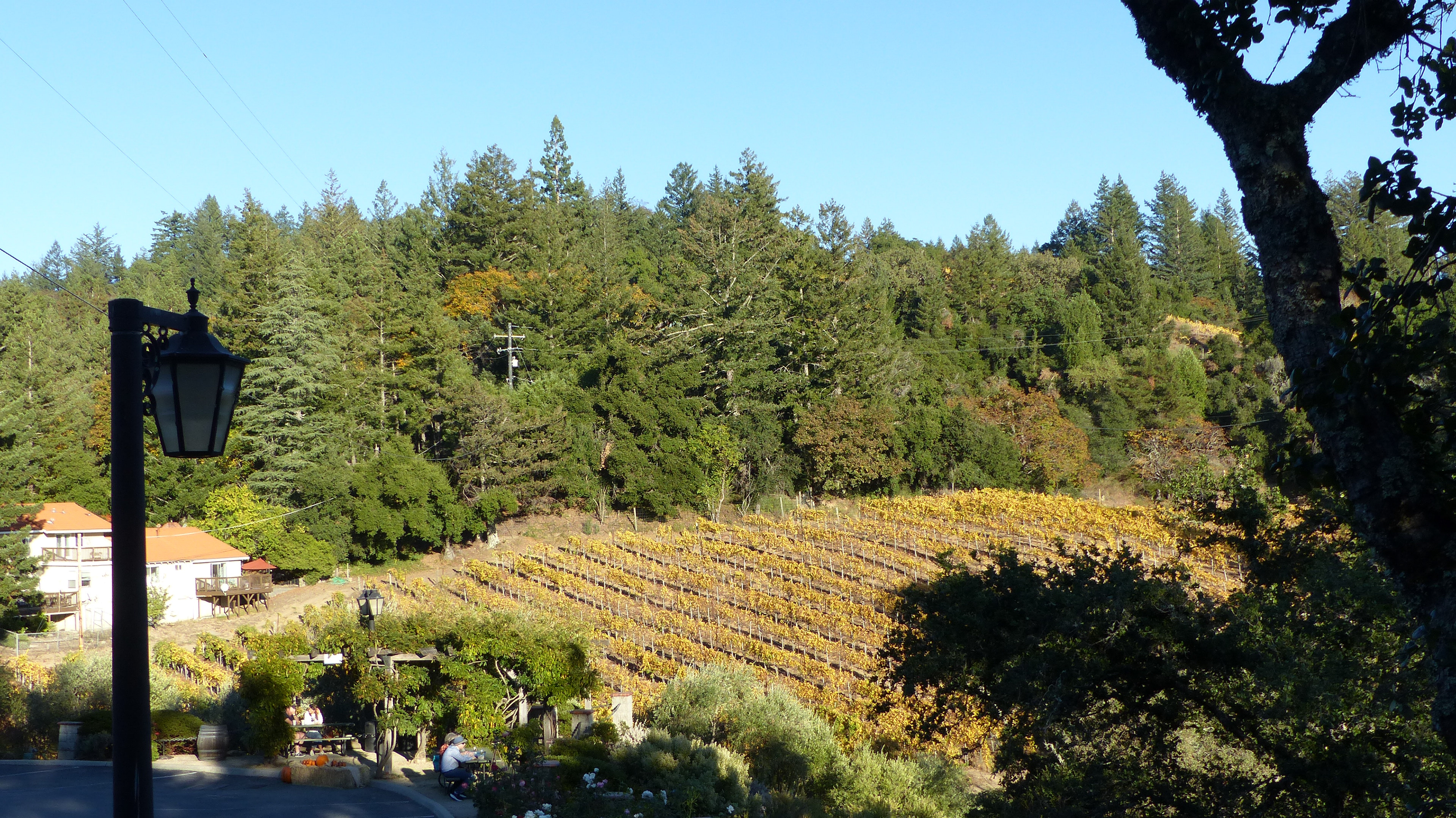 Byington Winery