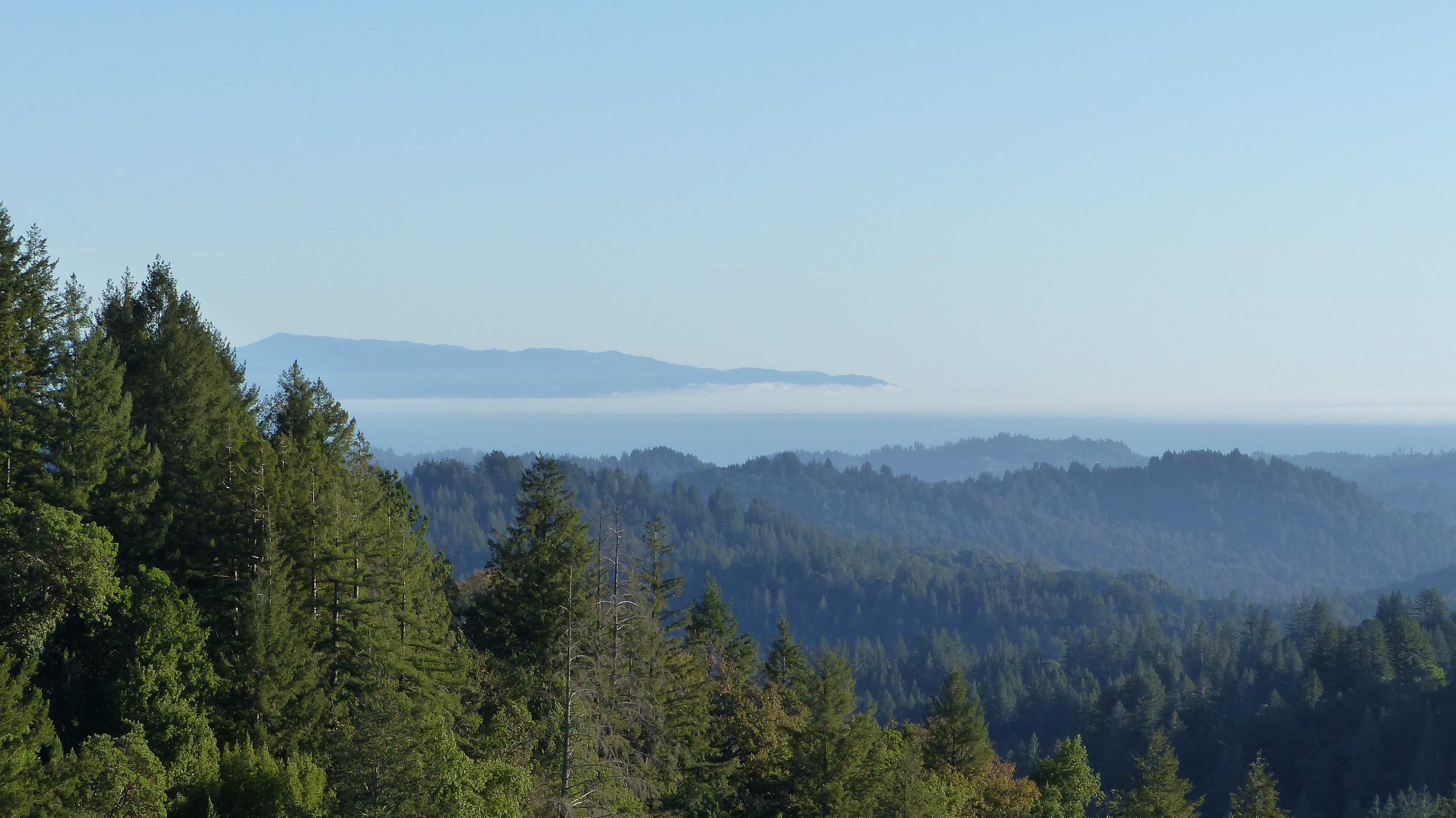 Monterey as viewed from Byington Winery