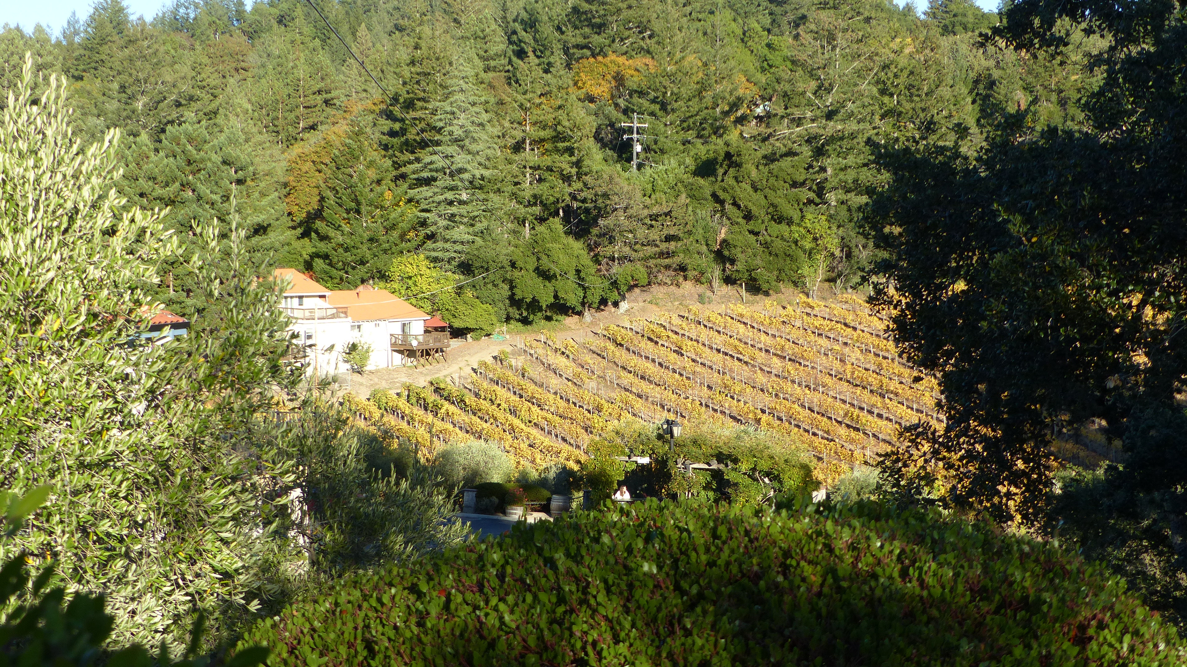 Byington Winery